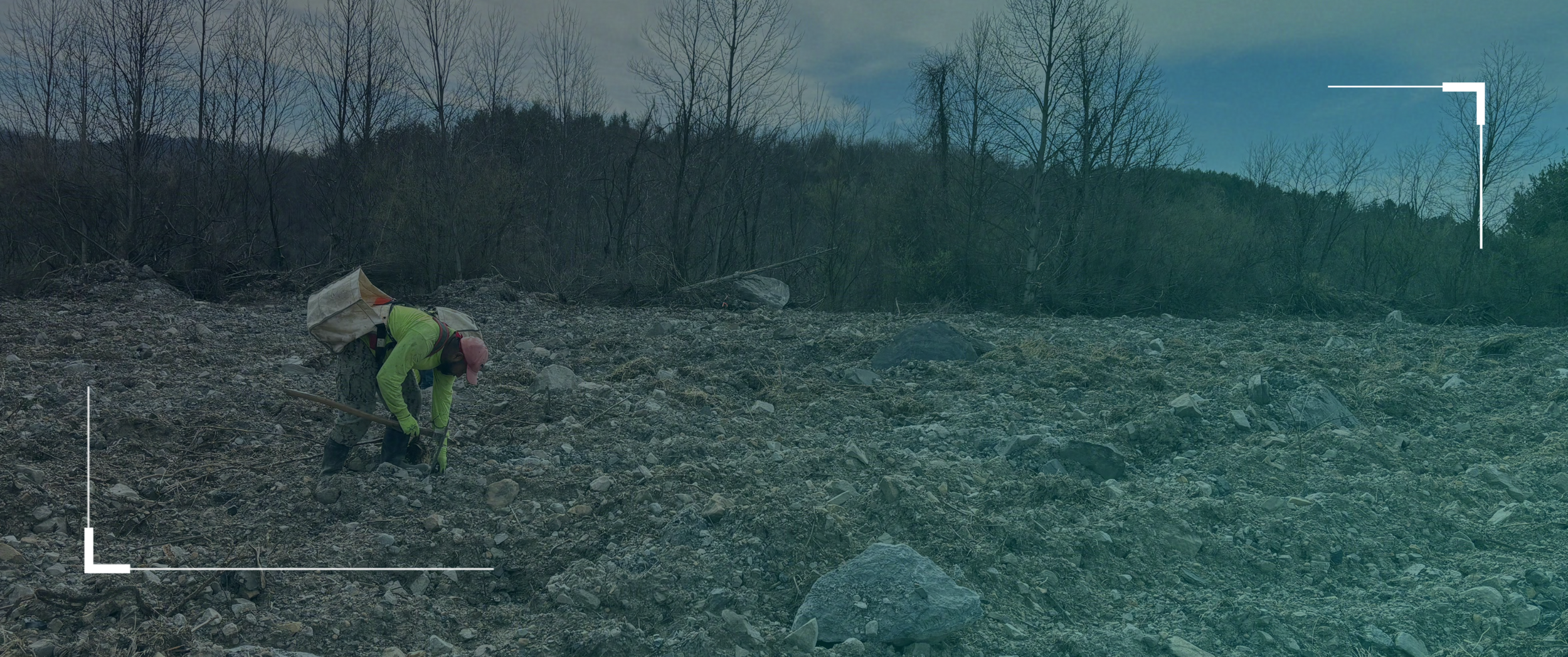 Symbiosis Announces New Carbon Offtake Agreements with Living Carbon