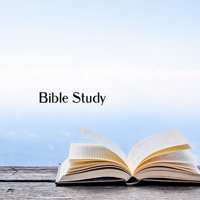 Weekly Bible Study