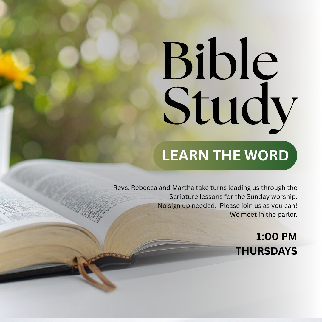 Bible Study