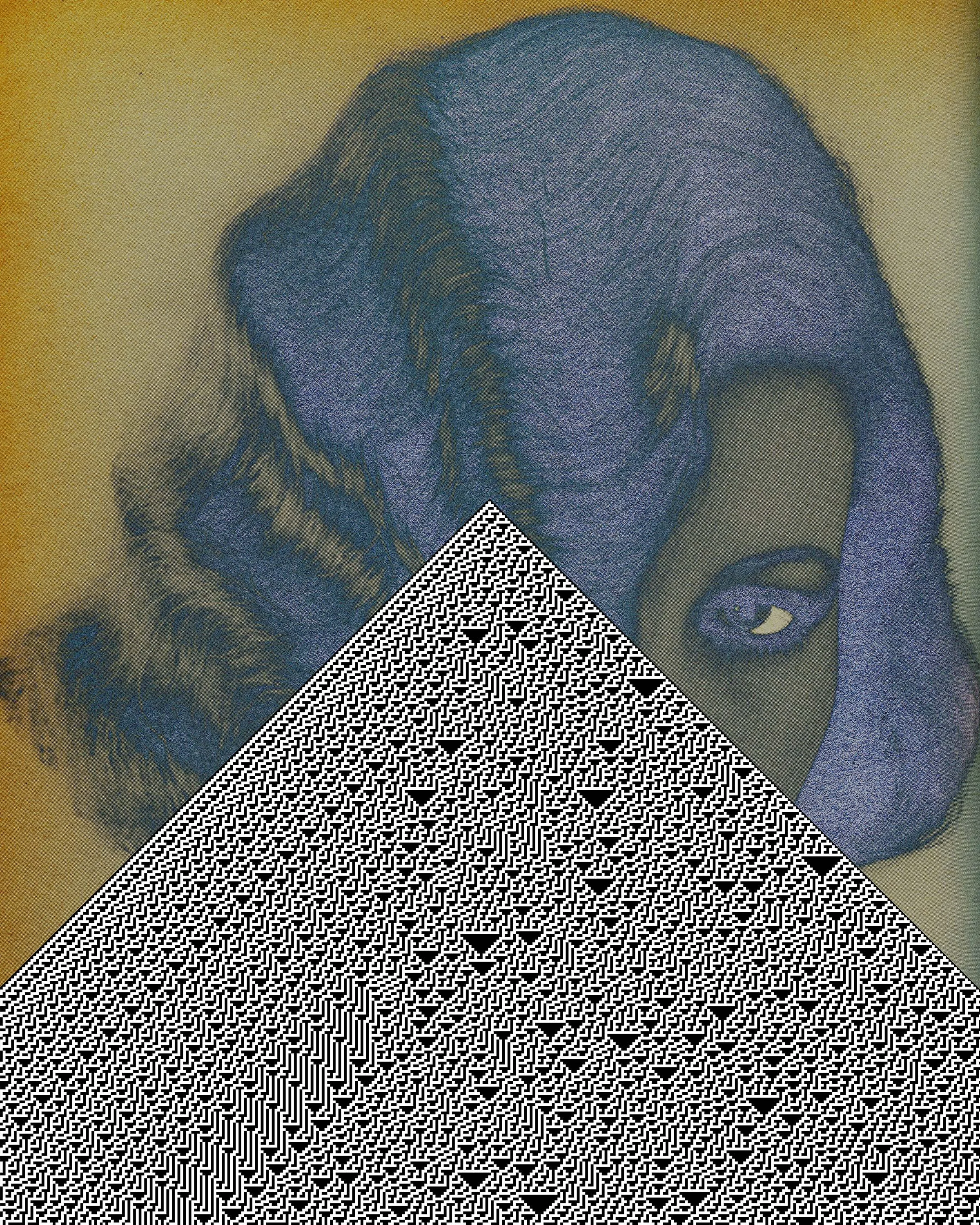 CELL_AUTO_04 copy.jpg