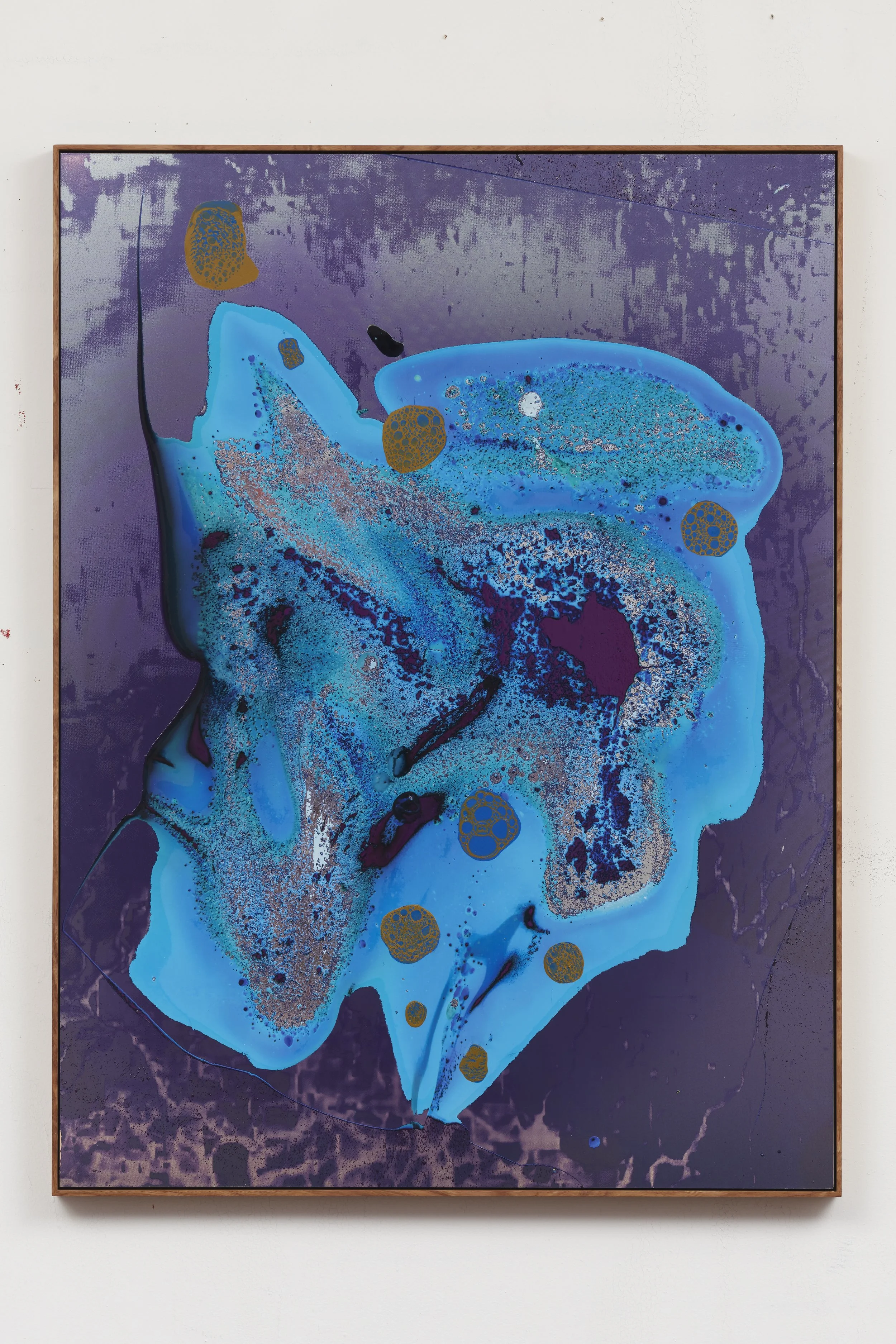 Dazzle Evolution (Flat Screen Solution).jpg