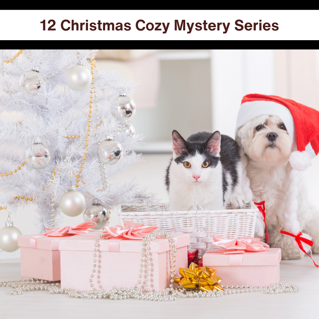 Christmas Cozy Mystery Book — Cozy Crime Reads