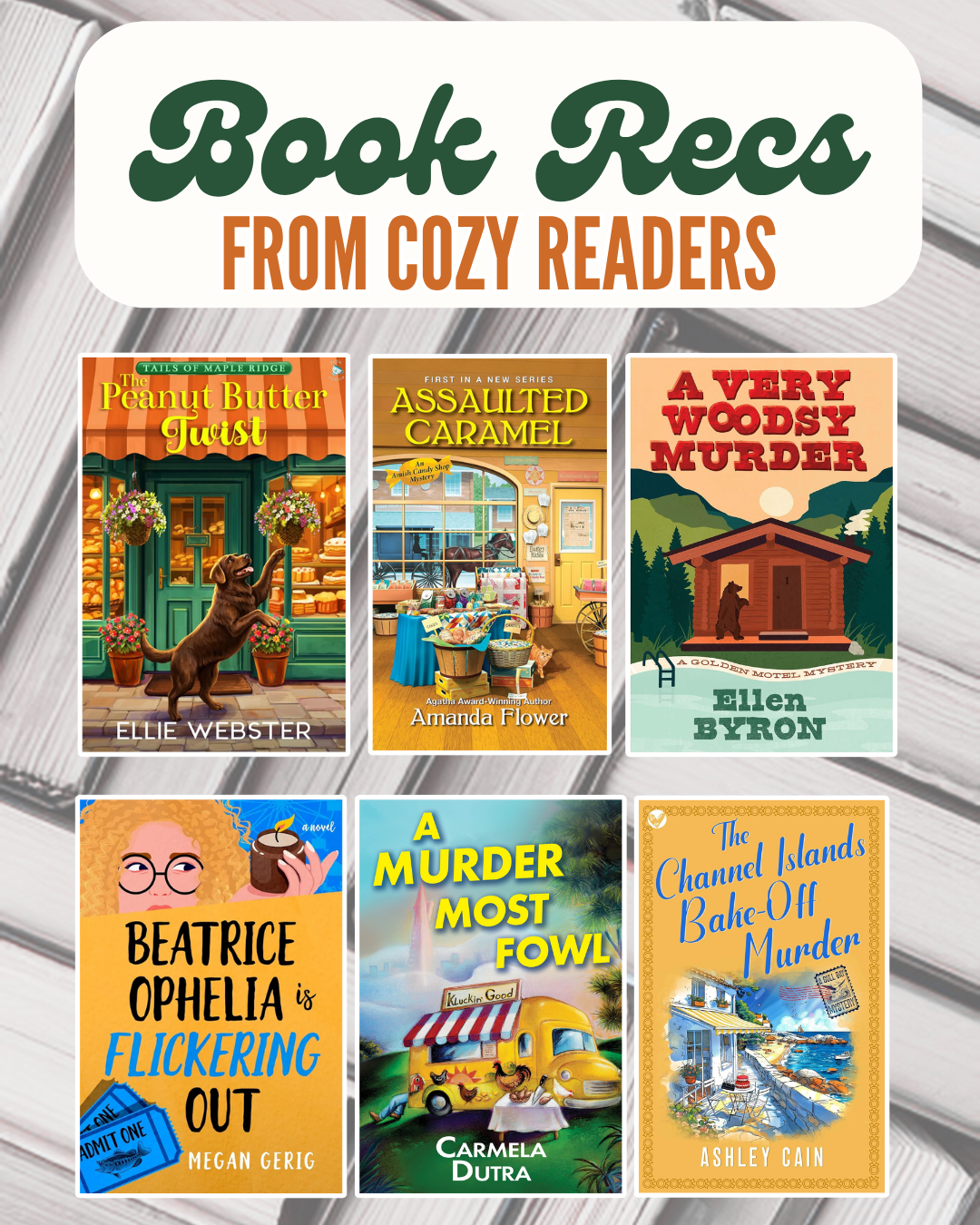 Cozy Mystery Reader Book Recs