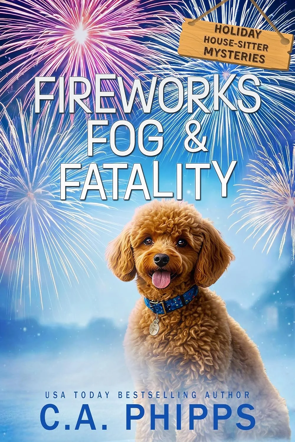 Fireworks, Fog & Fatality, a New Year's Holiday House-Sitter Mystery by CA Phipps
