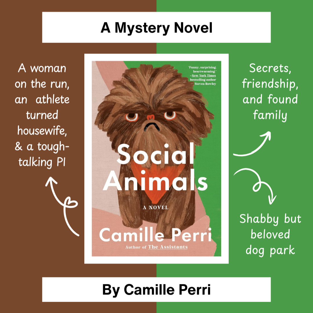 Social Animals, a found family mystery novel by Camille Perri