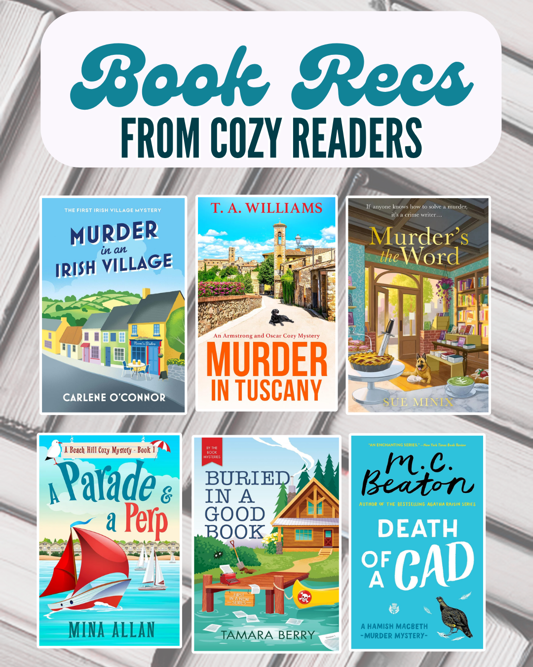 Cozy Mystery Reader Recs