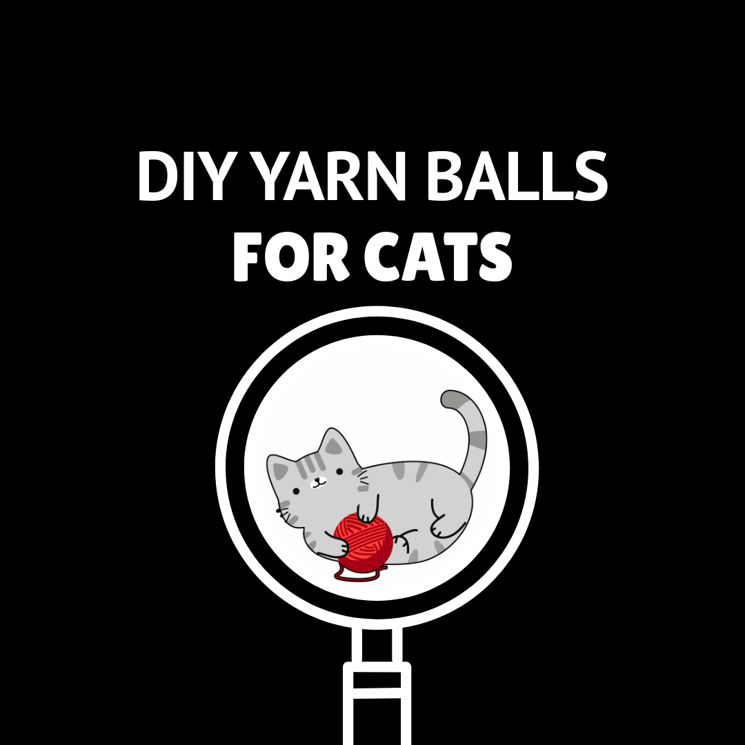 DIY Yarn Balls for Cats