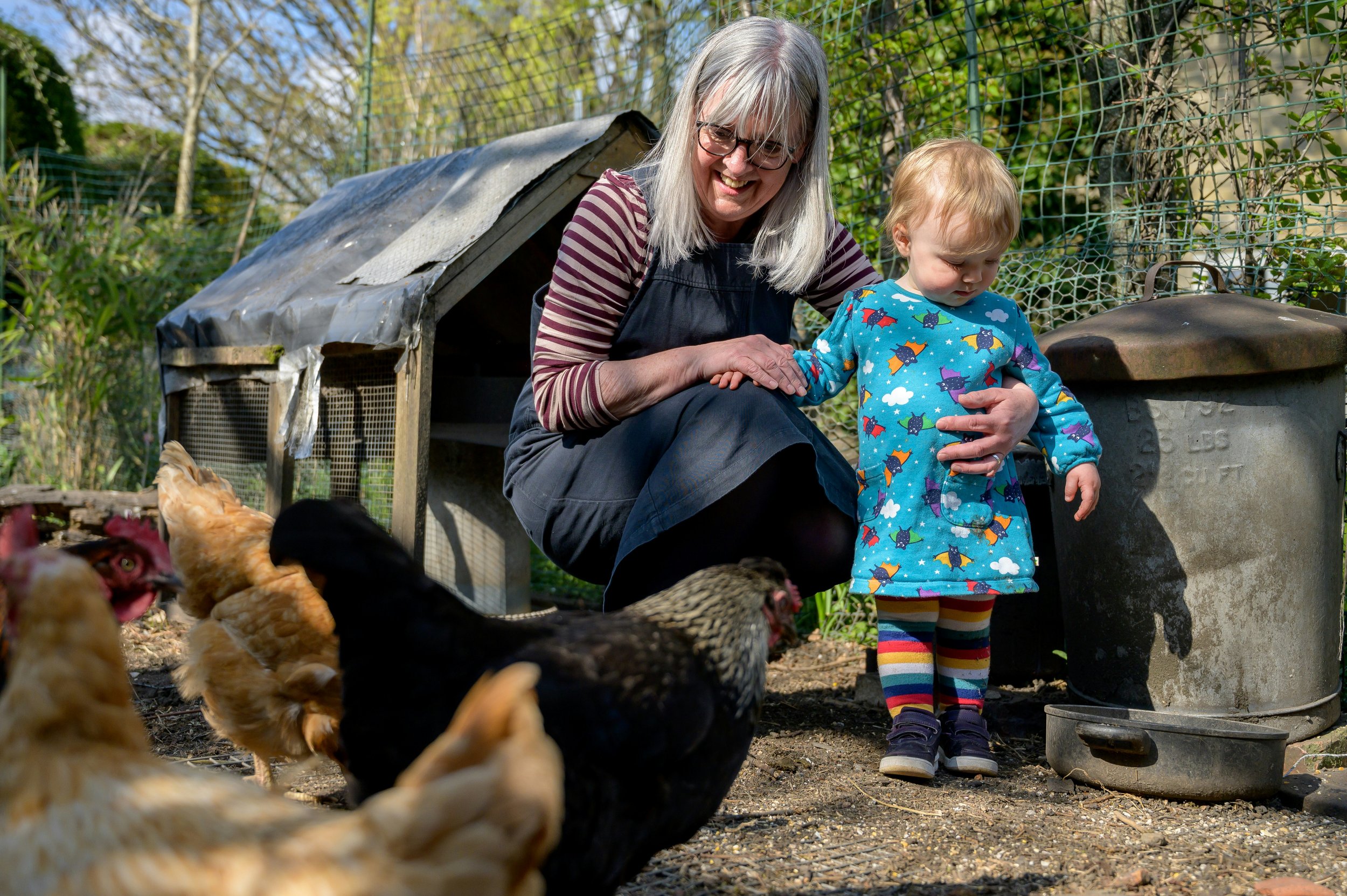 Older woman with small child and chickens