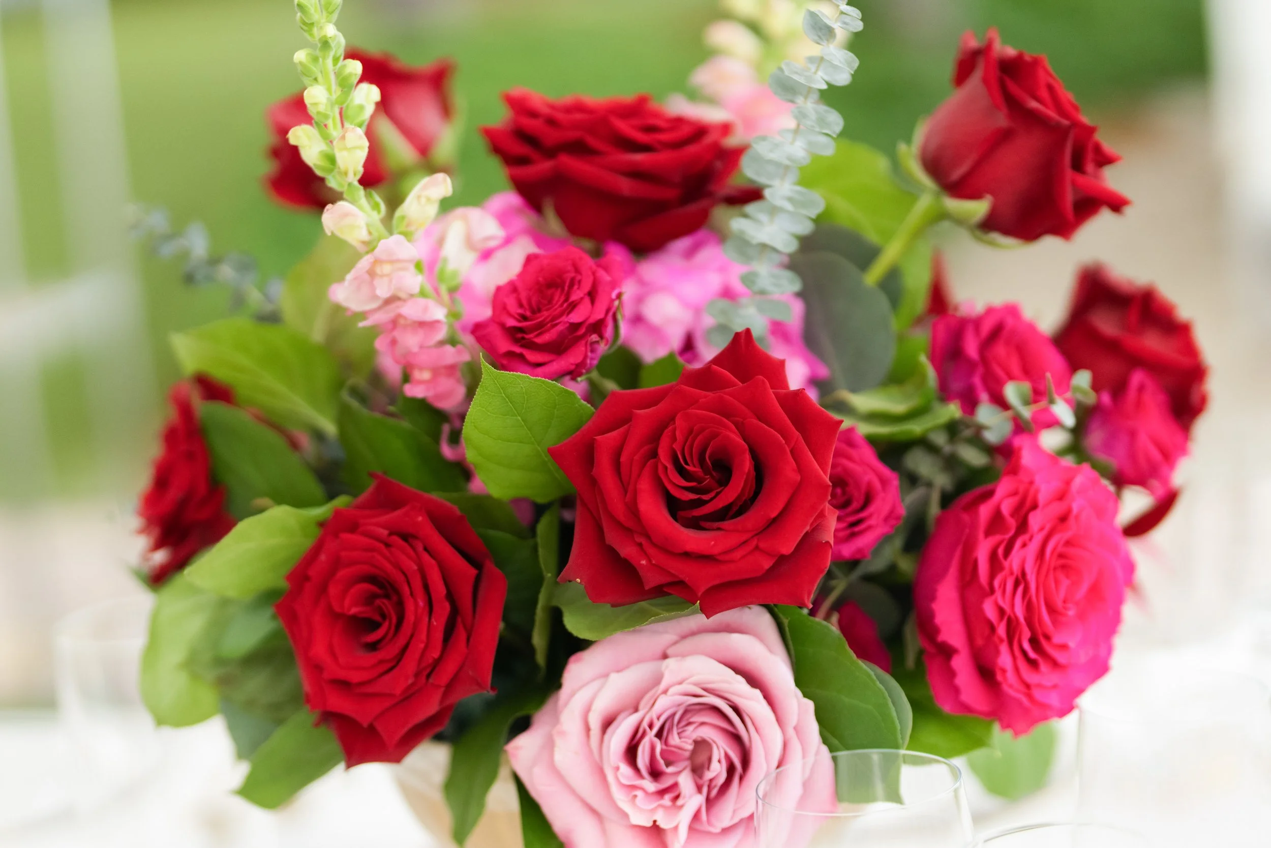 A bouquet of red, pink, and white roses with green leaves and small pink and white flowers in a clear vase.