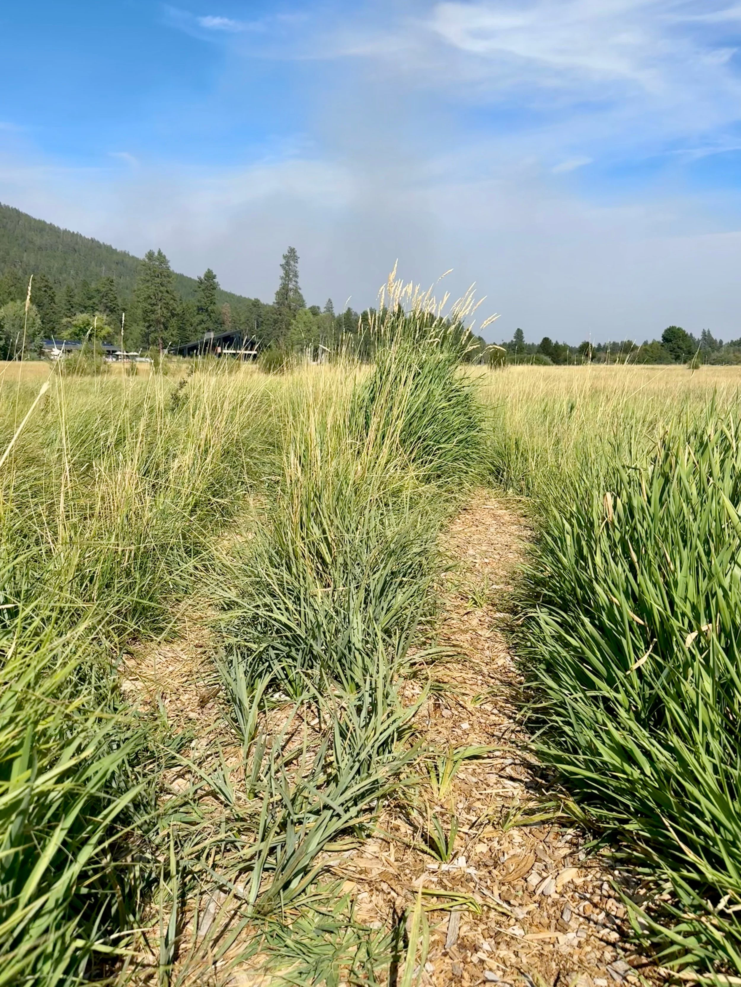 Lodge Trail Maintenance