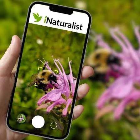 Go Wild with iNaturalist!
