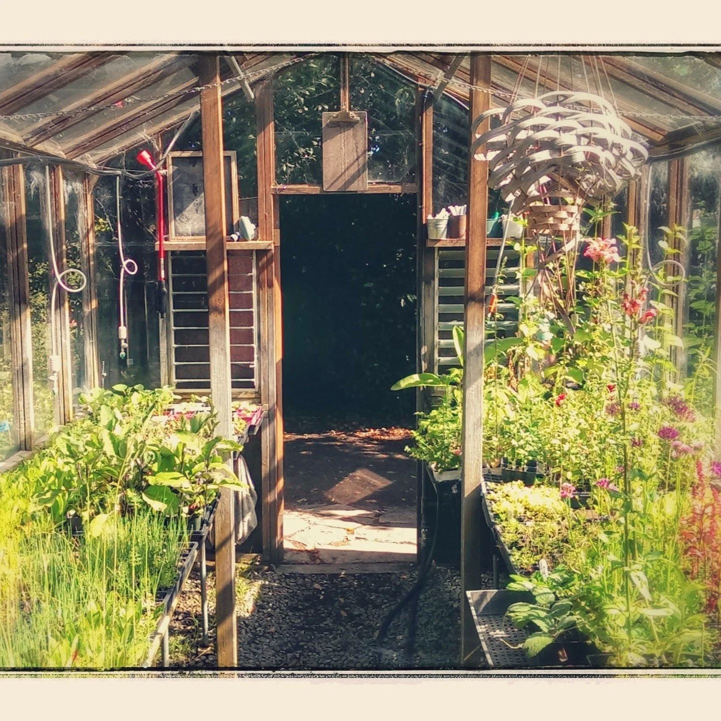 Who has started their seeds? We're over here dreaming of days like this, soon to come! 🌱