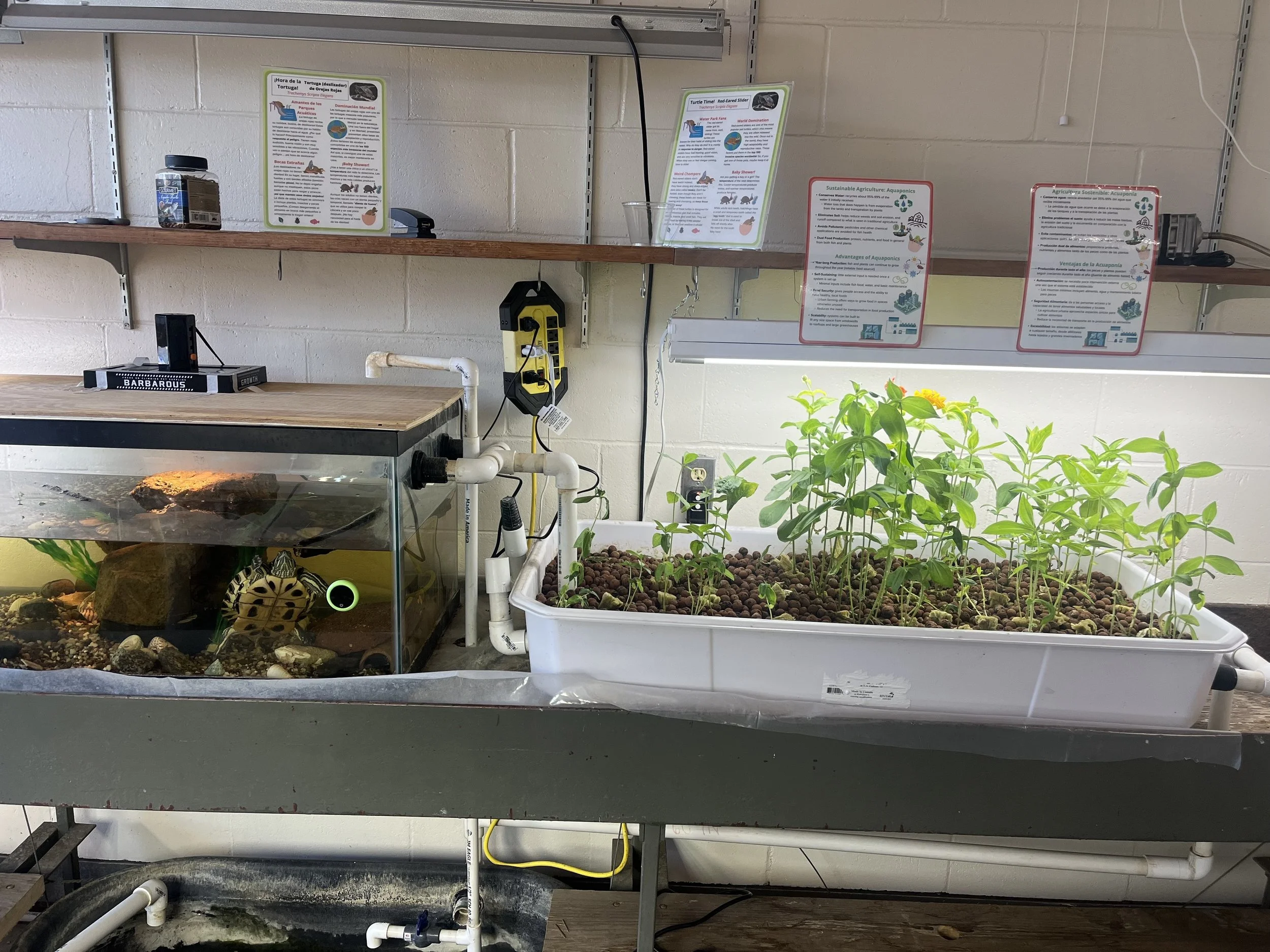 NEMS Lab Updates1.jpeg