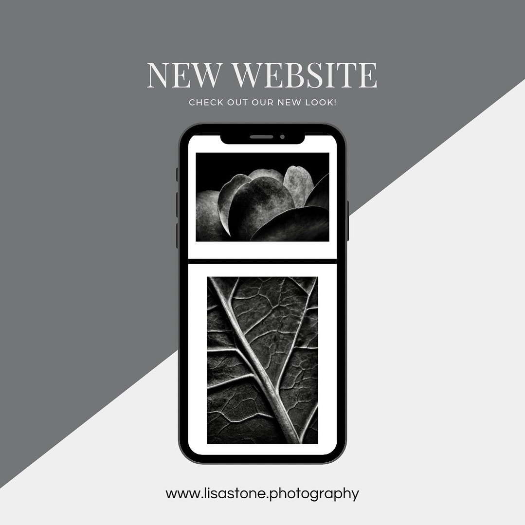 I finally got around to making a dedicated website for the new projects I&rsquo;m working on! It&rsquo;s linked in my profile above. 
-
#blackandwhitephotography #fineartphotography #lisastonephotography  #bnw_and_noir #bw_addiction #raw_bnw #incredi