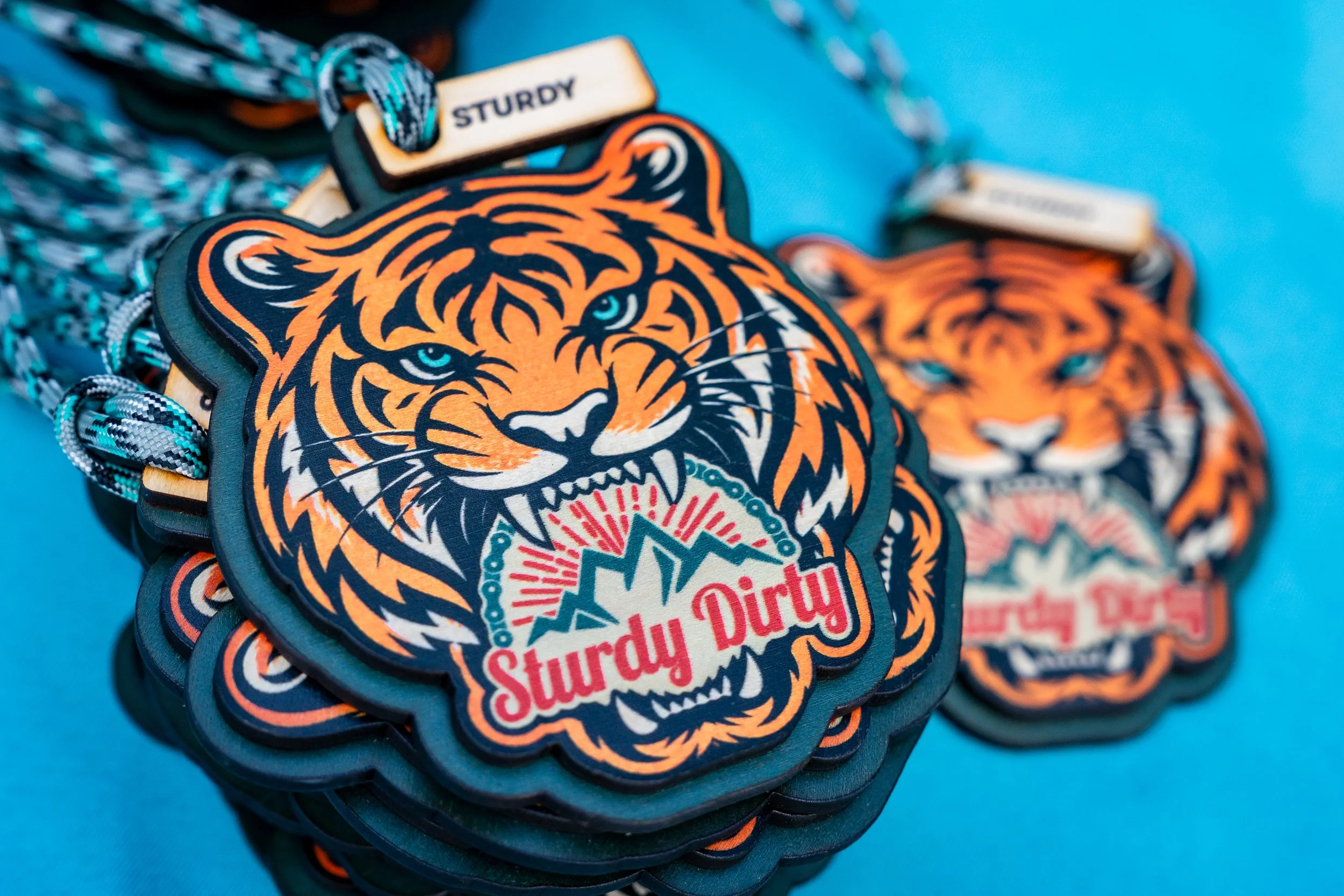 STURDYTIGER2026-HEATHERPETERSON-ORG204.jpg