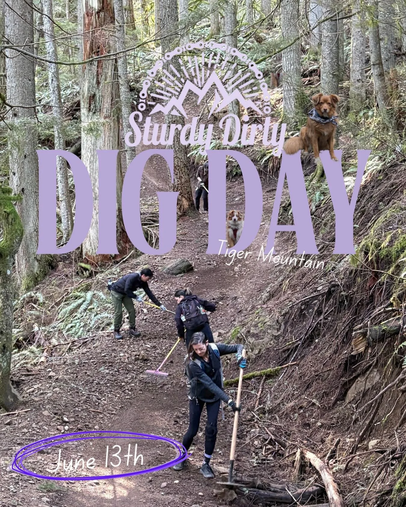 Sturdy Dig Day // June 13 Tiger Mtn 🐅

Trail work, good humans, and a day in the woods that ends with pizza and beer. Join us, you know you want to. 

Sign up at the link in bio.
