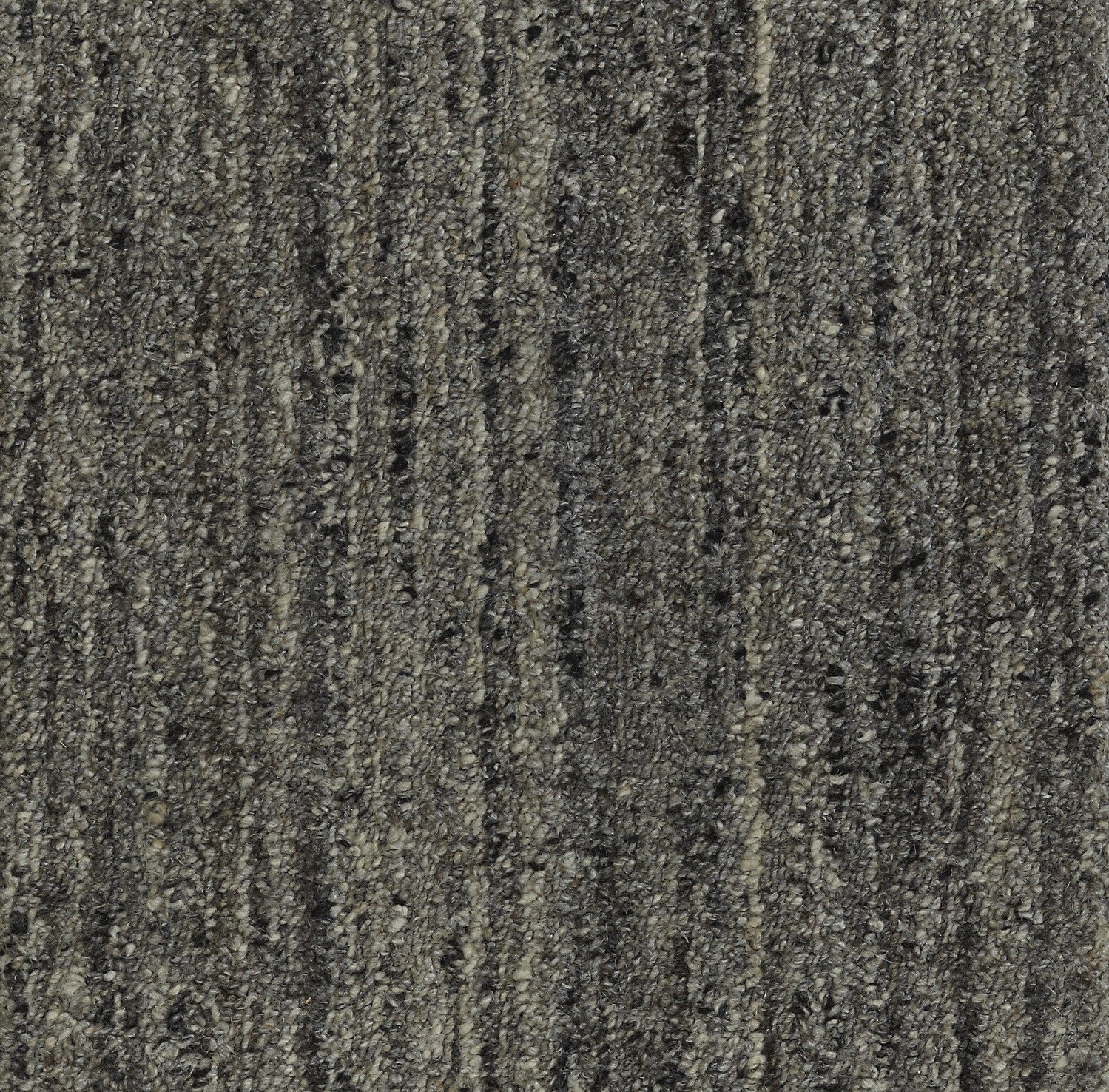 Shale_5b811cc2-45e8-4c17-9a05-595d1fe5df20.jpg