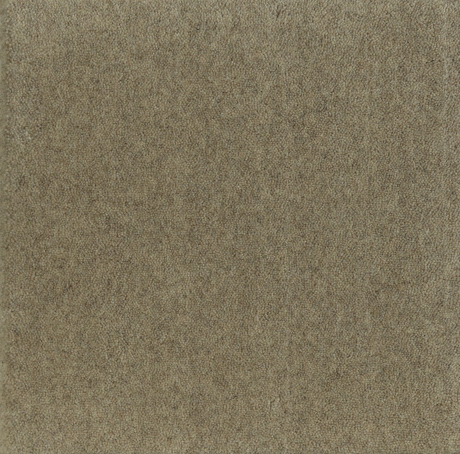 Blush.jpg