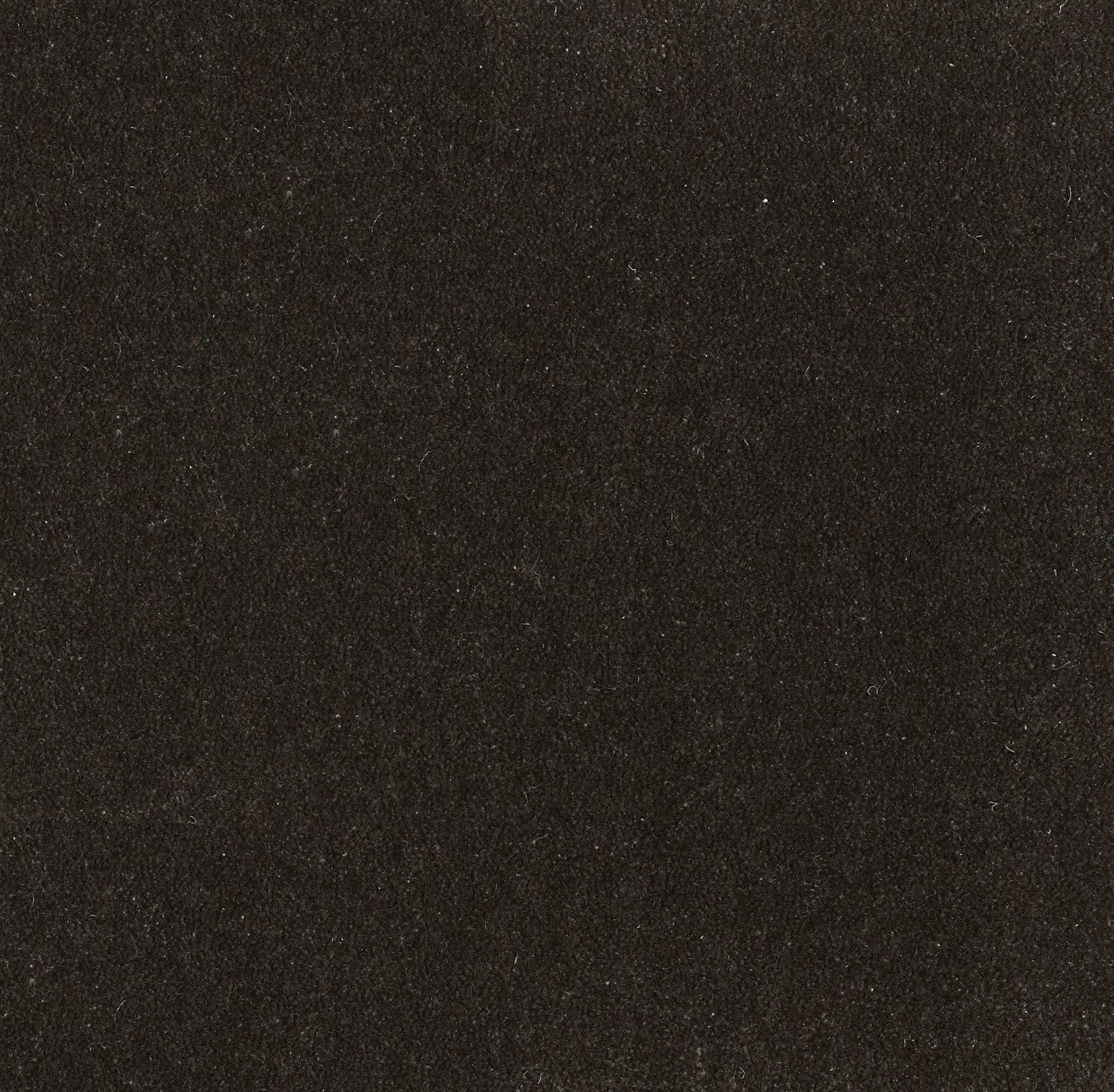 Chocolate.jpg
