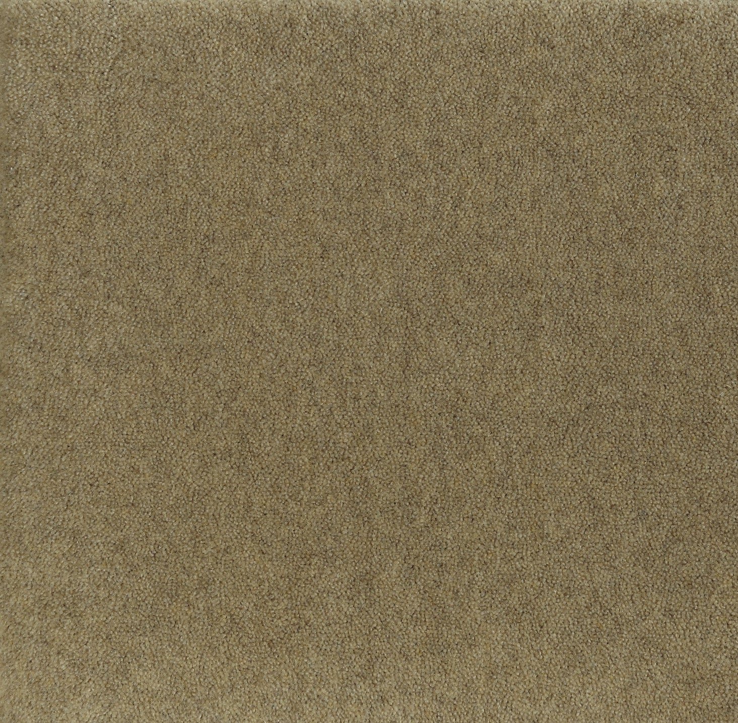 Cream_e1f0e87b-6a45-4c09-8e8f-751d7ac10b9b.jpg