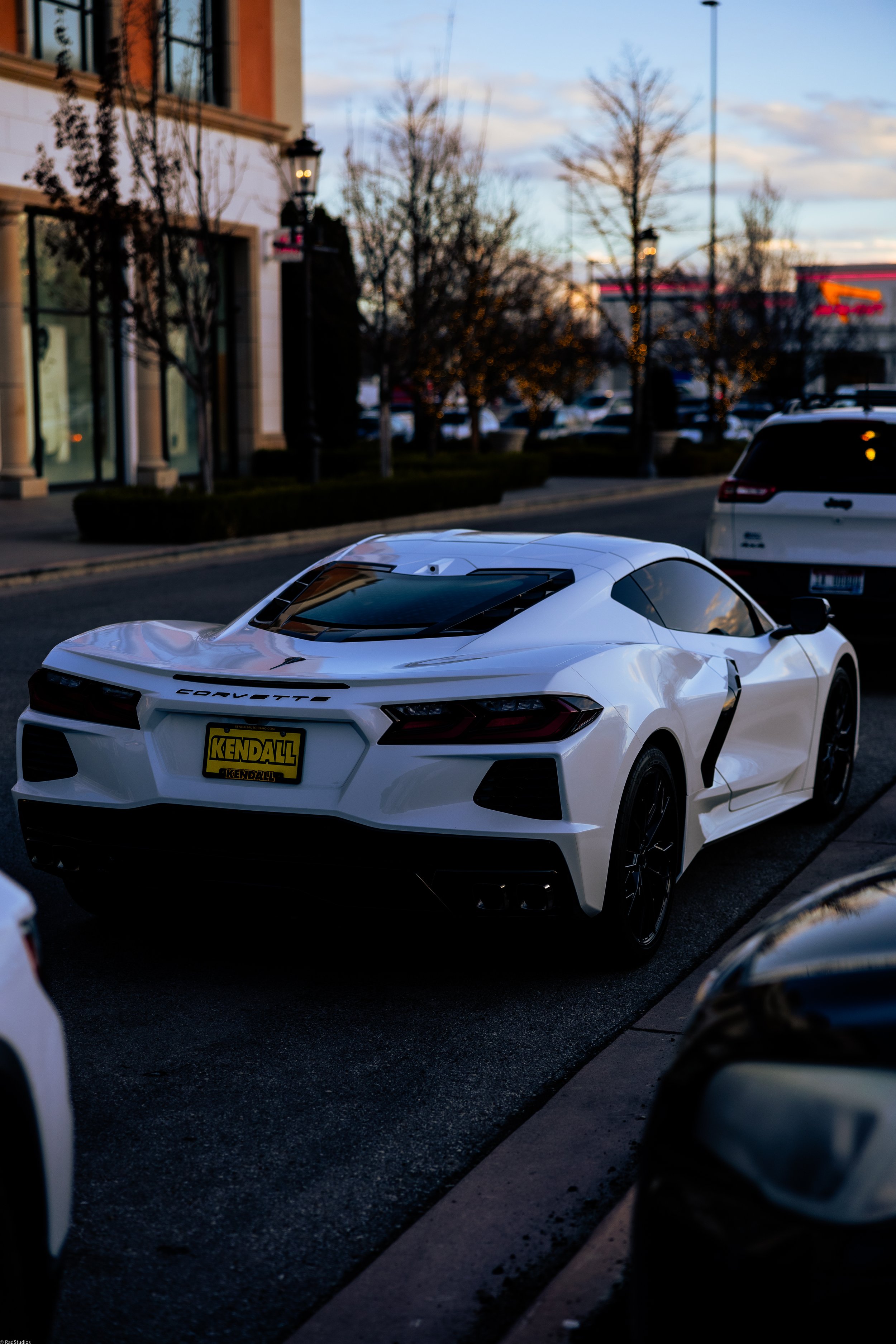 radstudiosphotography-auto.captures.jpg