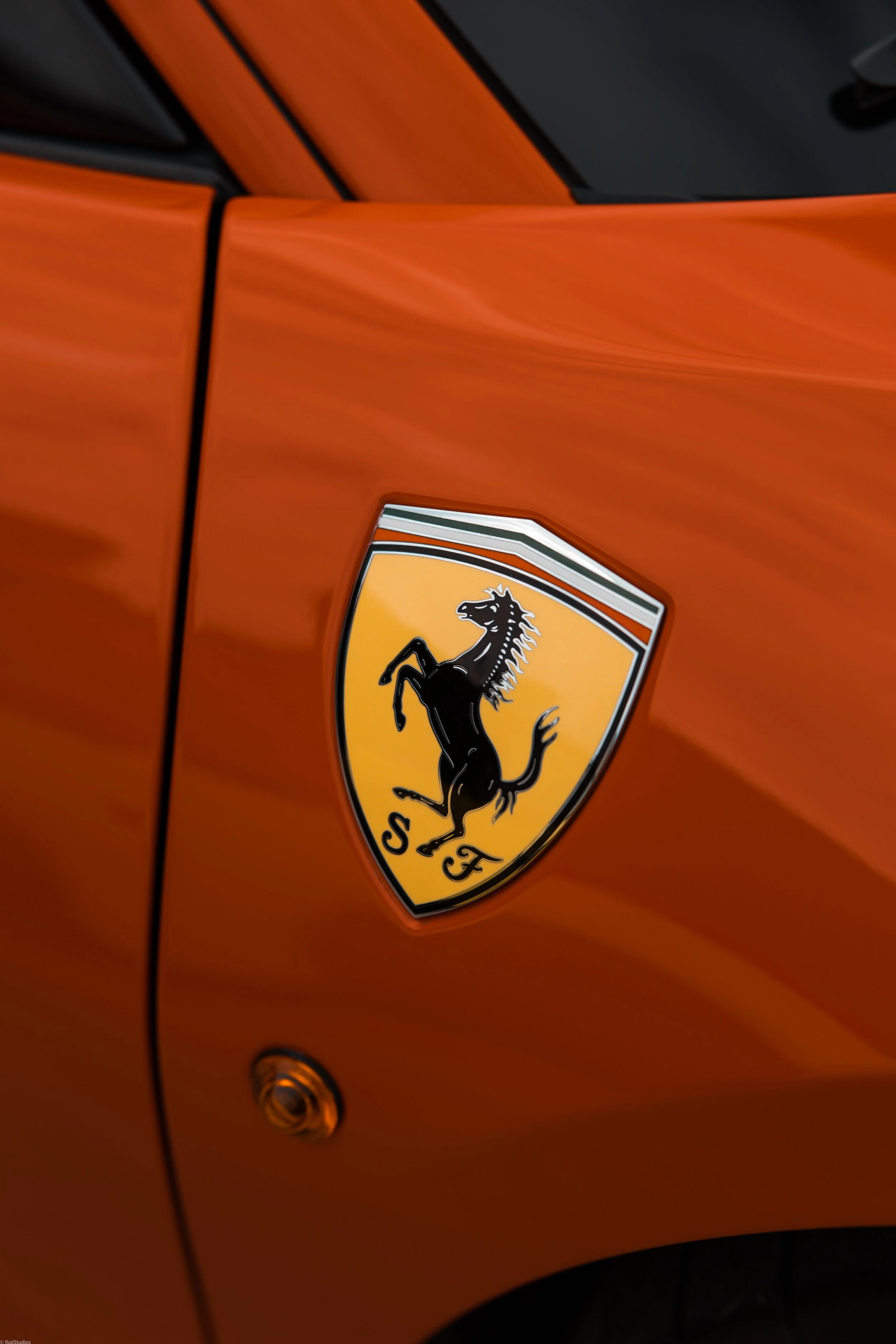 radstudiosphotography-auto.captures-89.jpg