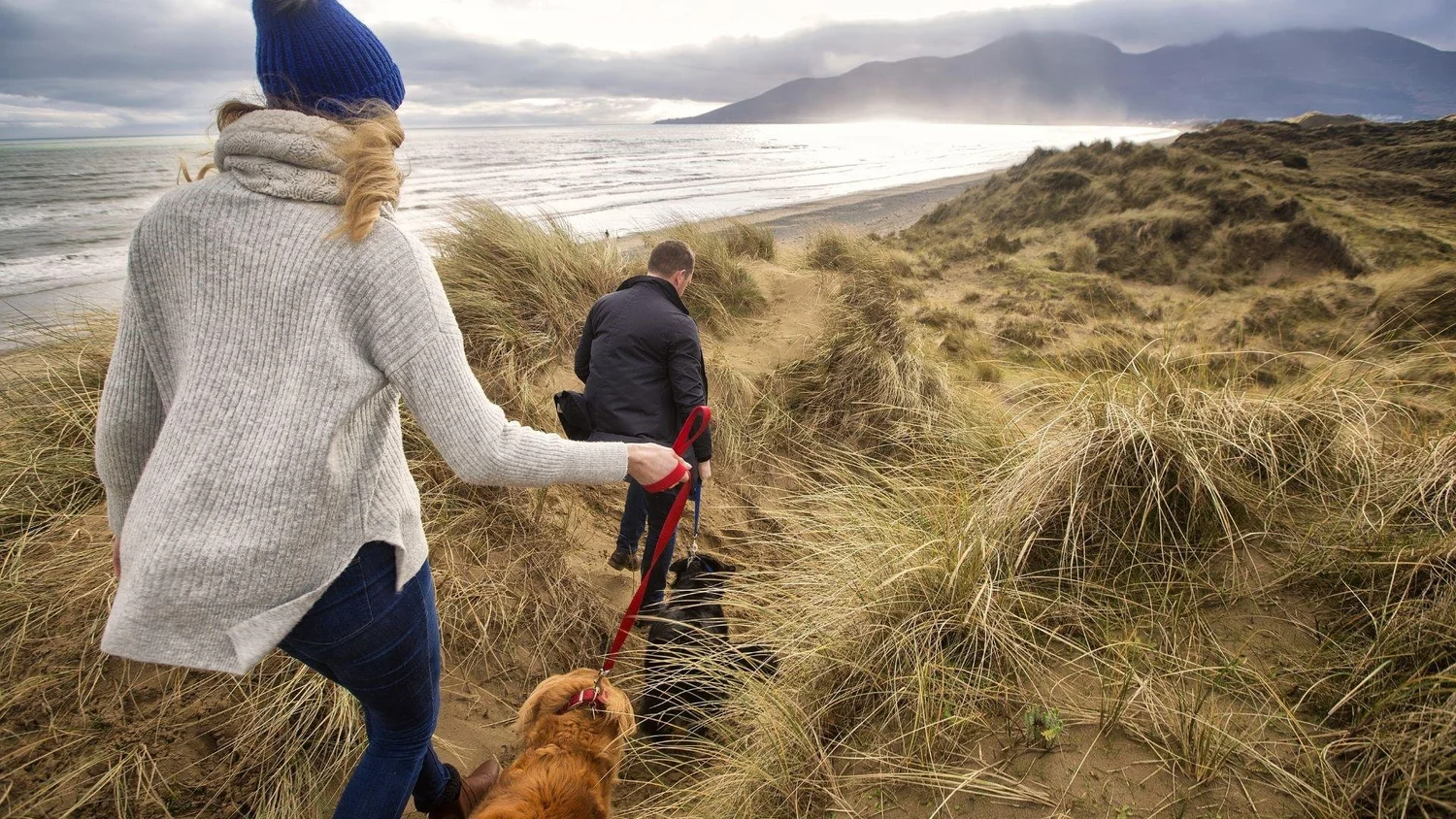 Two walkers and a dog on a dune path above the beach on the Causeway Coast