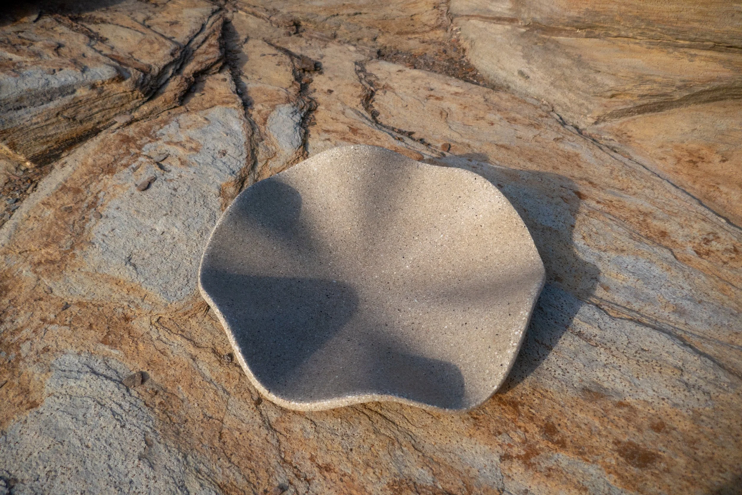 Clam 16"