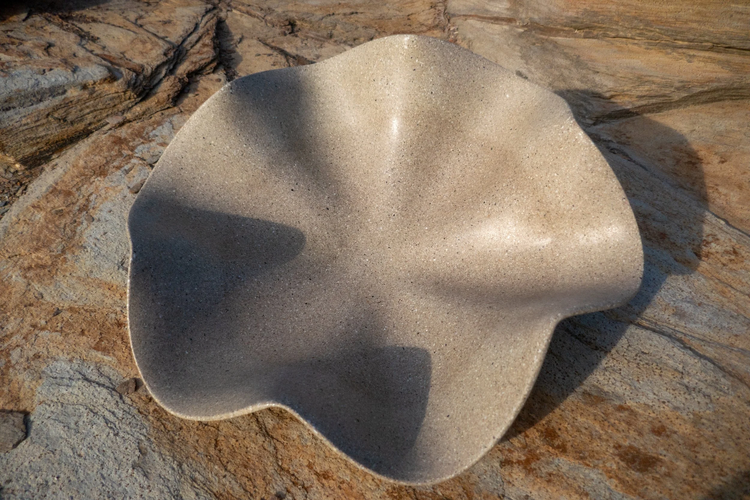 Clam 24"