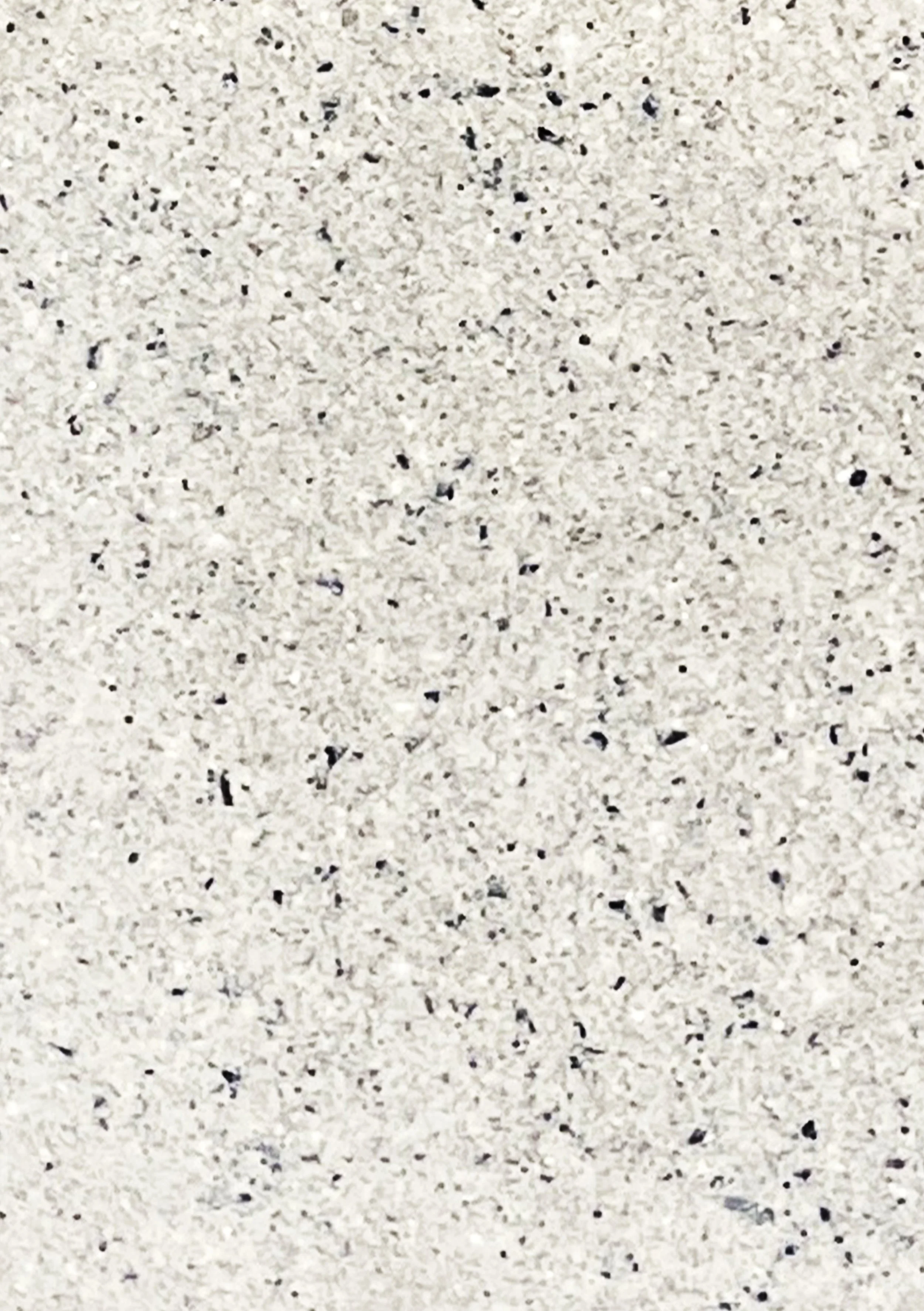 Shellf Life regenerative material — Eastern oyster, Narragansett Bay, Rhode Island. Textured, flecked composite surface.