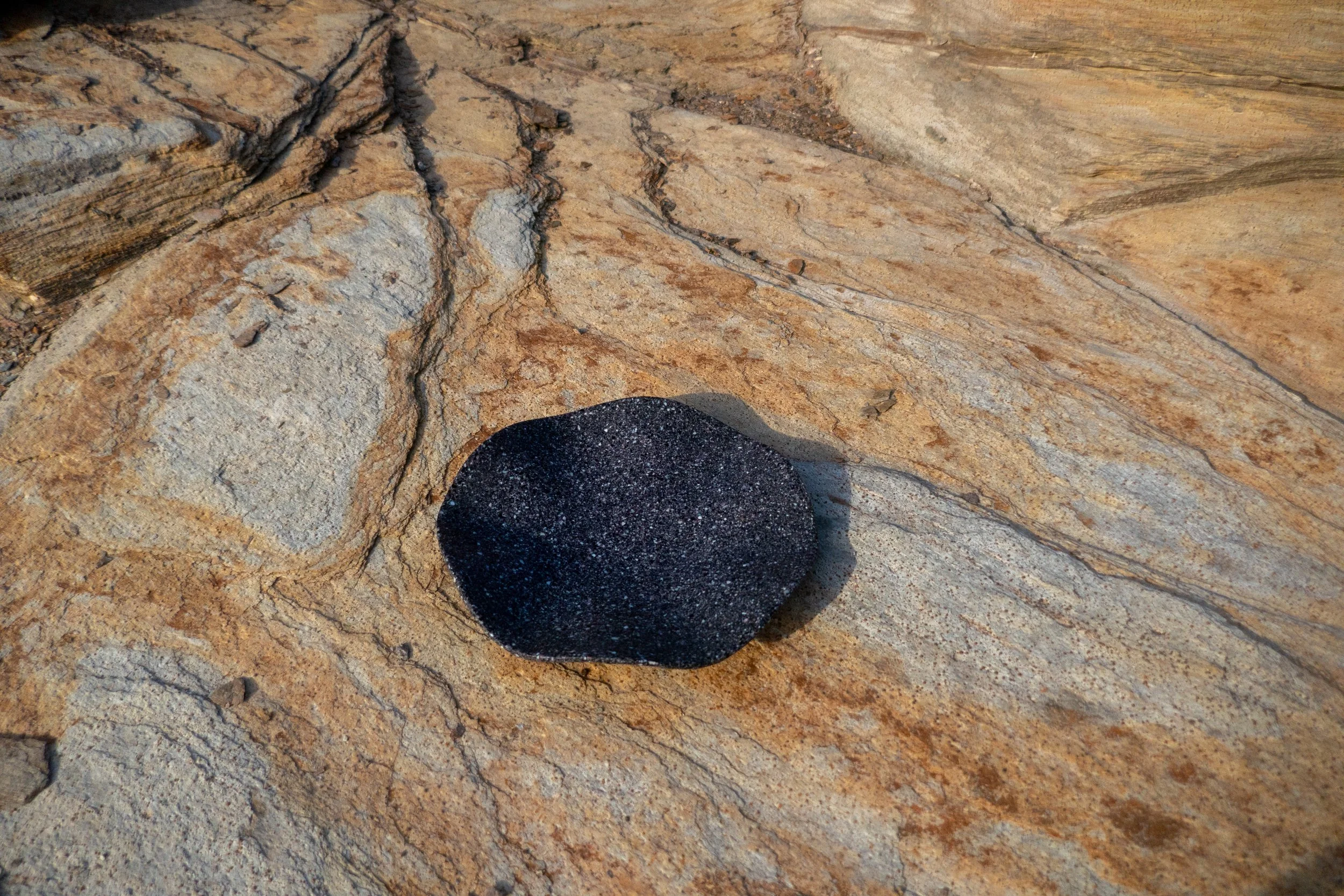 Mussel 10"