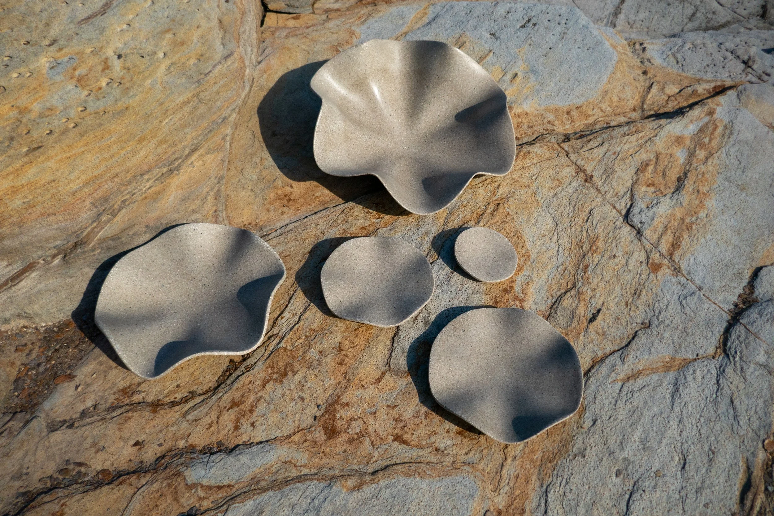 Clam Family