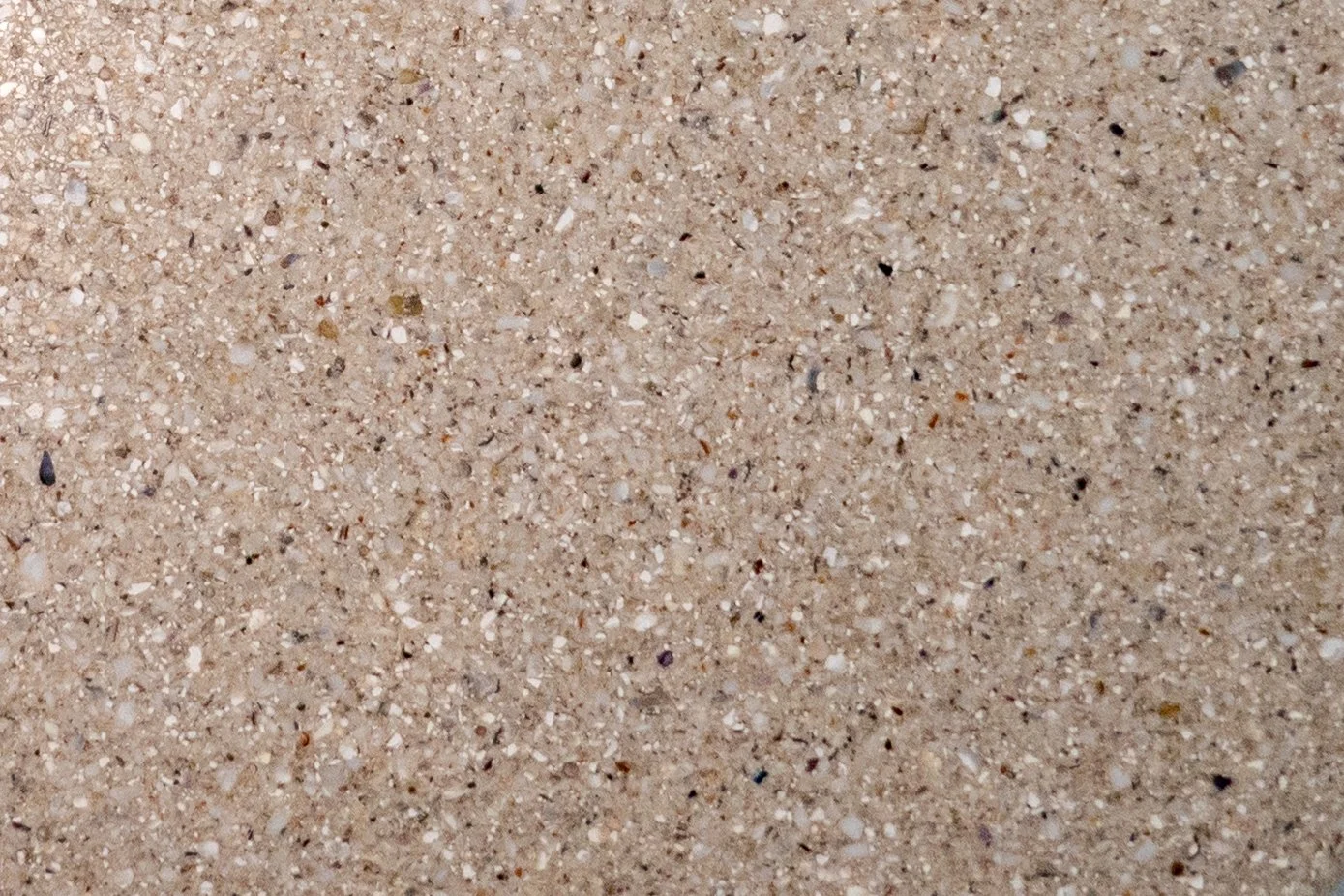 Shellf Life regenerative material — Quahog clam, Bristol, Rhode Island. Warm, sandy aggregate, cement-free and resin-free.