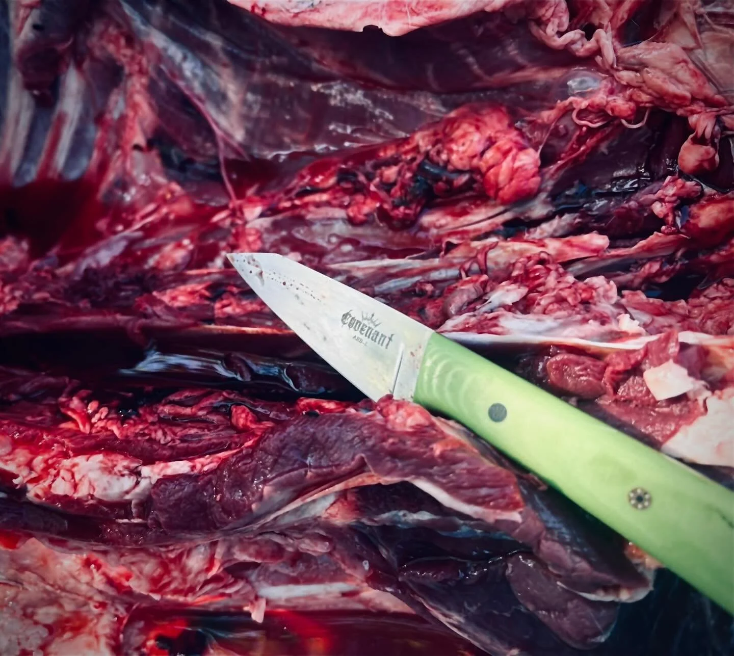 I love to see my knives getting put to good use! Photo credit to Dyllan Dale.