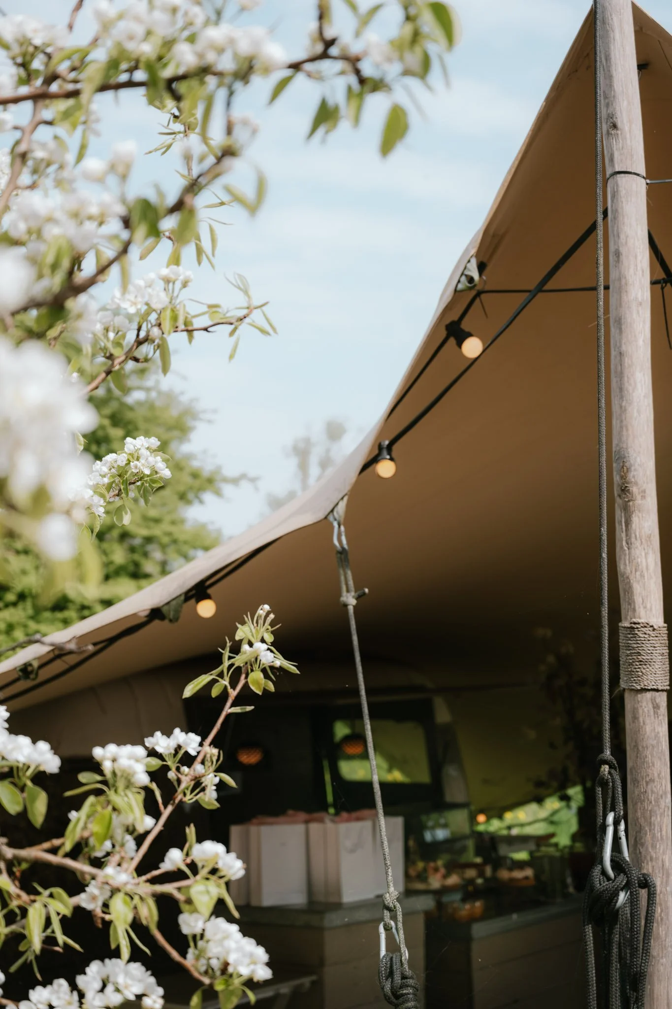 20250413_Paviljoen Puur_Juliët Broersen_Web-43.JPG