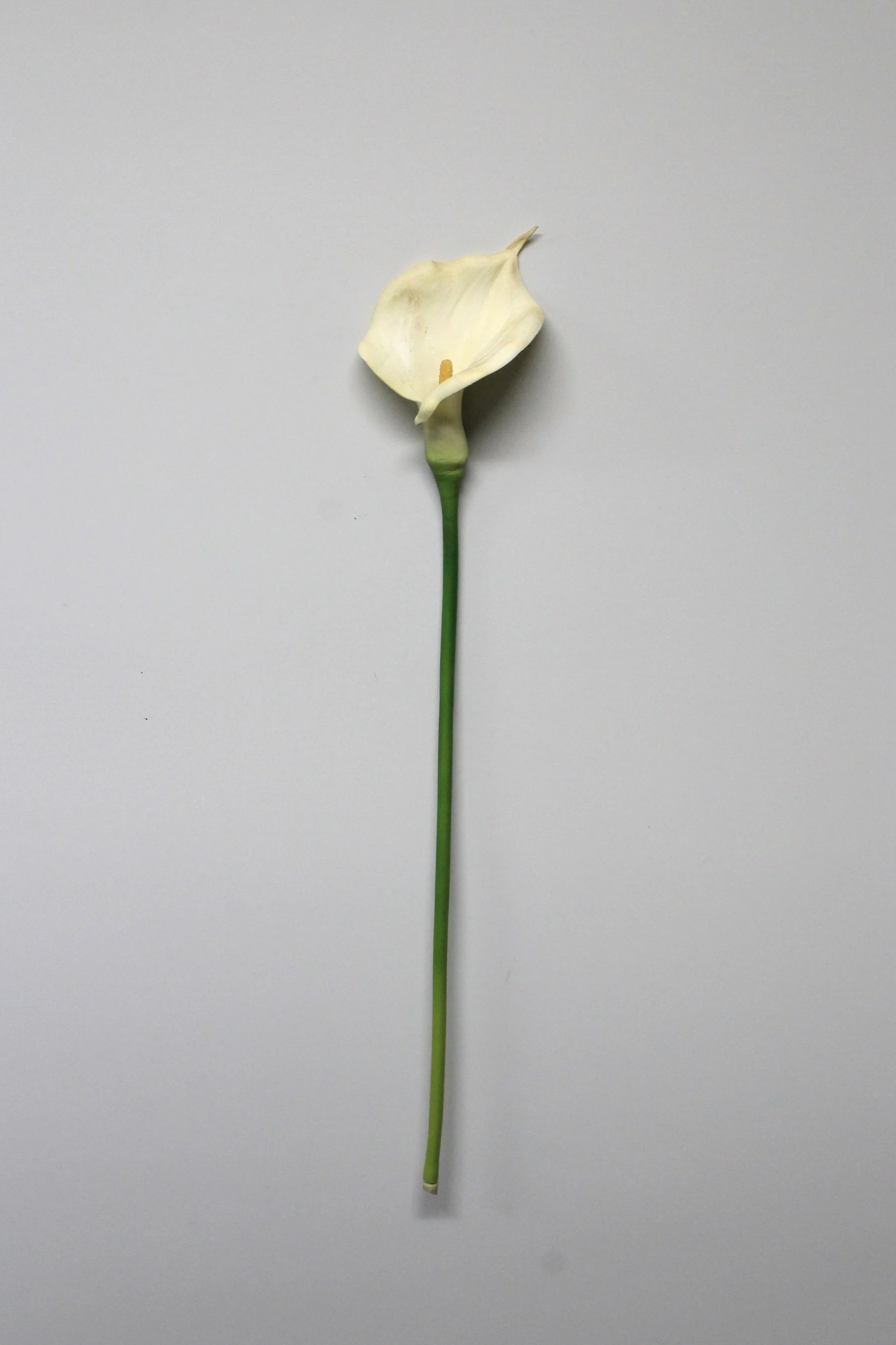 Silk Calla Lily
