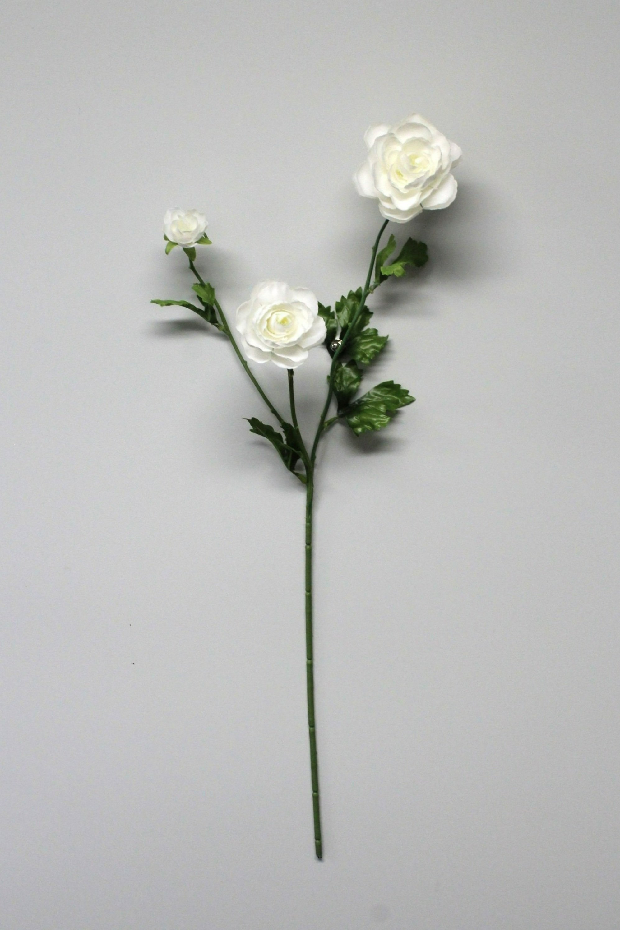 Silk Ranunculus - White