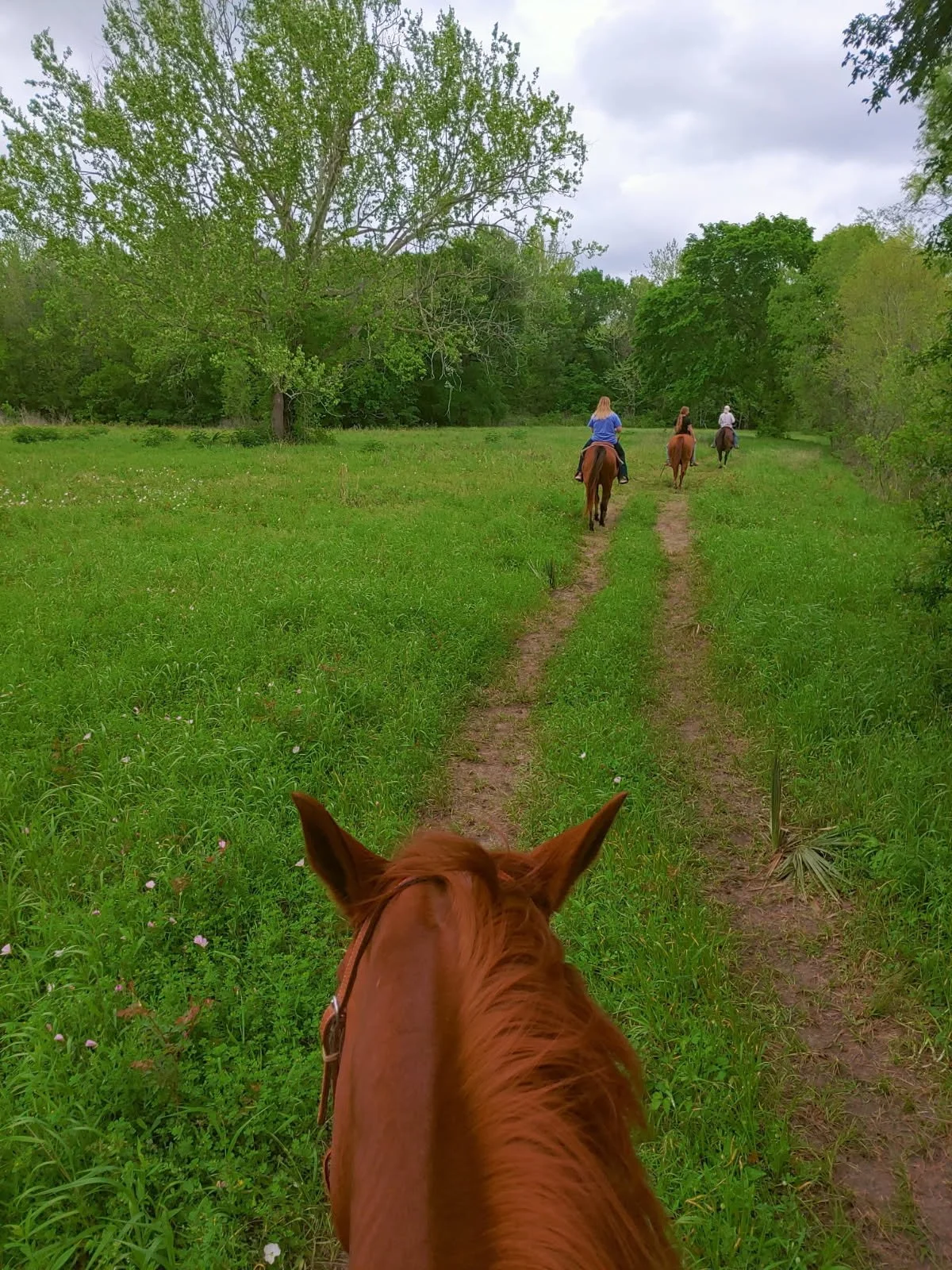 trail ride.jpg