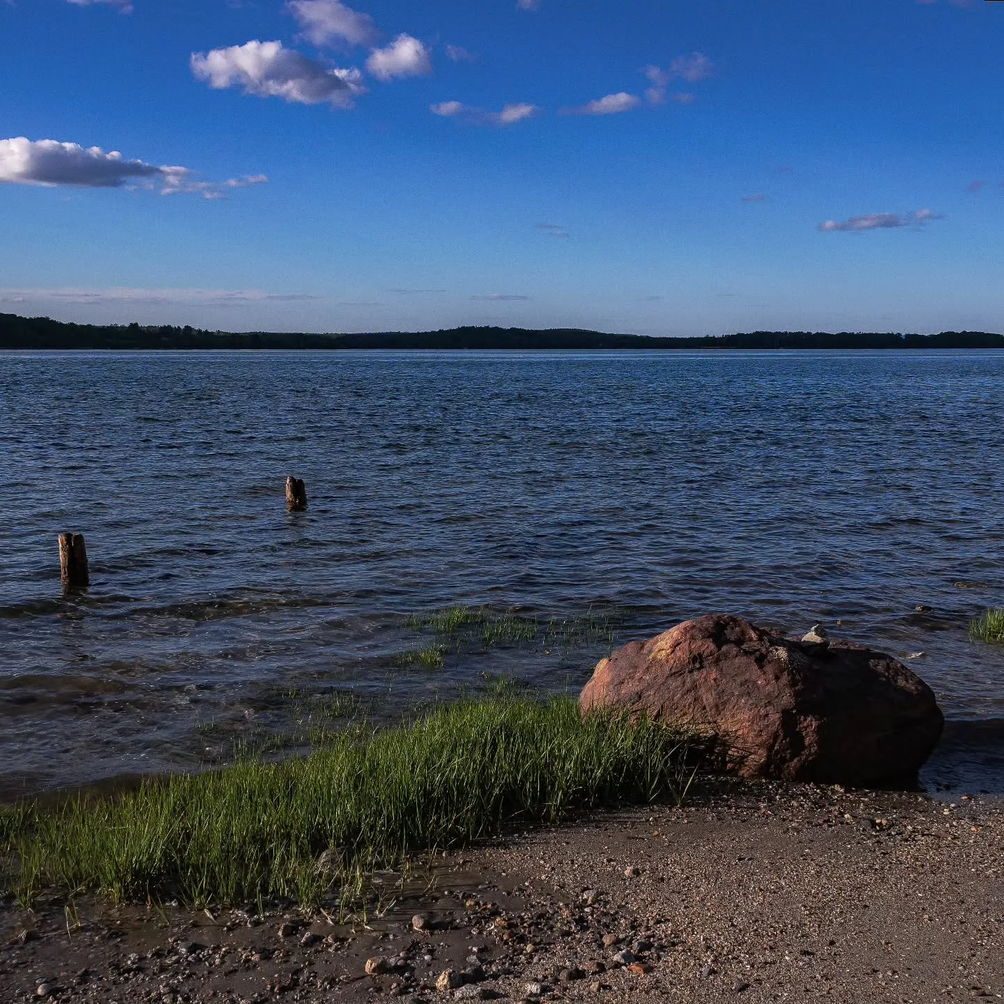 This is a rock, some grass, two weather-beaten pilings and the ocean.

#maine #newengland #mainelife #visitmaine #mainething #portlandmaine #igers #nature #thewaylifeshouldbe #mainecoast #mainetheway #photography #vacationland #portland #exploremaine