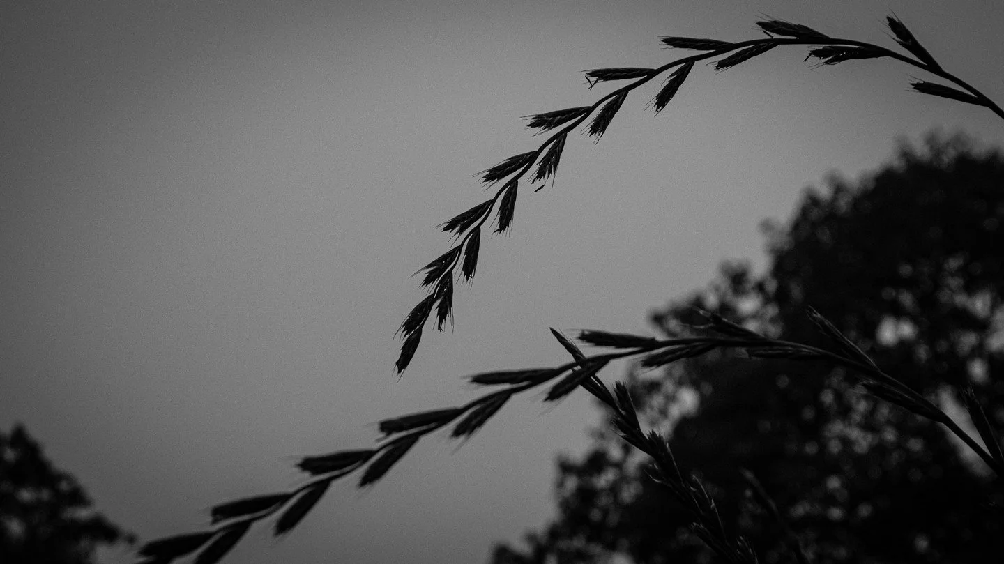 06.24.23 Photos

#maine #newengland #mainelife #visitmaine #mainething #portlandmaine #igers #nature #thewaylifeshouldbe #mainecoast #mainetheway #photography #vacationland #portland #exploremaine #igersmaine #love #summer #ocean #travel #mainephotog