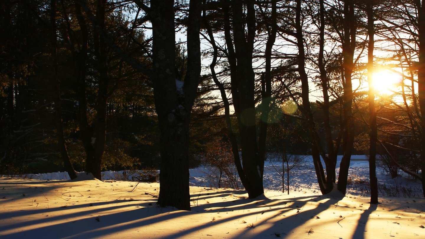 #maine #newengland #mainelife #visitmaine #mainething #portlandmaine #igers #nature #thewaylifeshouldbe #mainecoast #mainetheway #photography #vacationland #portland #exploremaine #igersmaine #love #summer #ocean #travel #mainephotography #lovemaine 