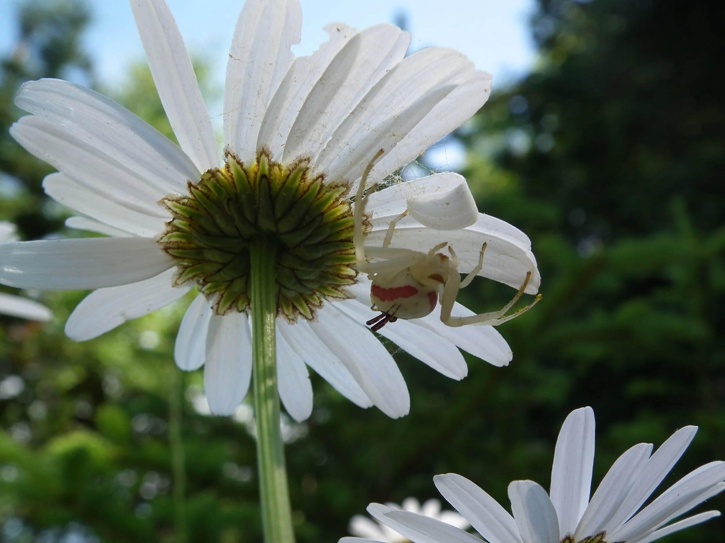 DSCF3398.JPG