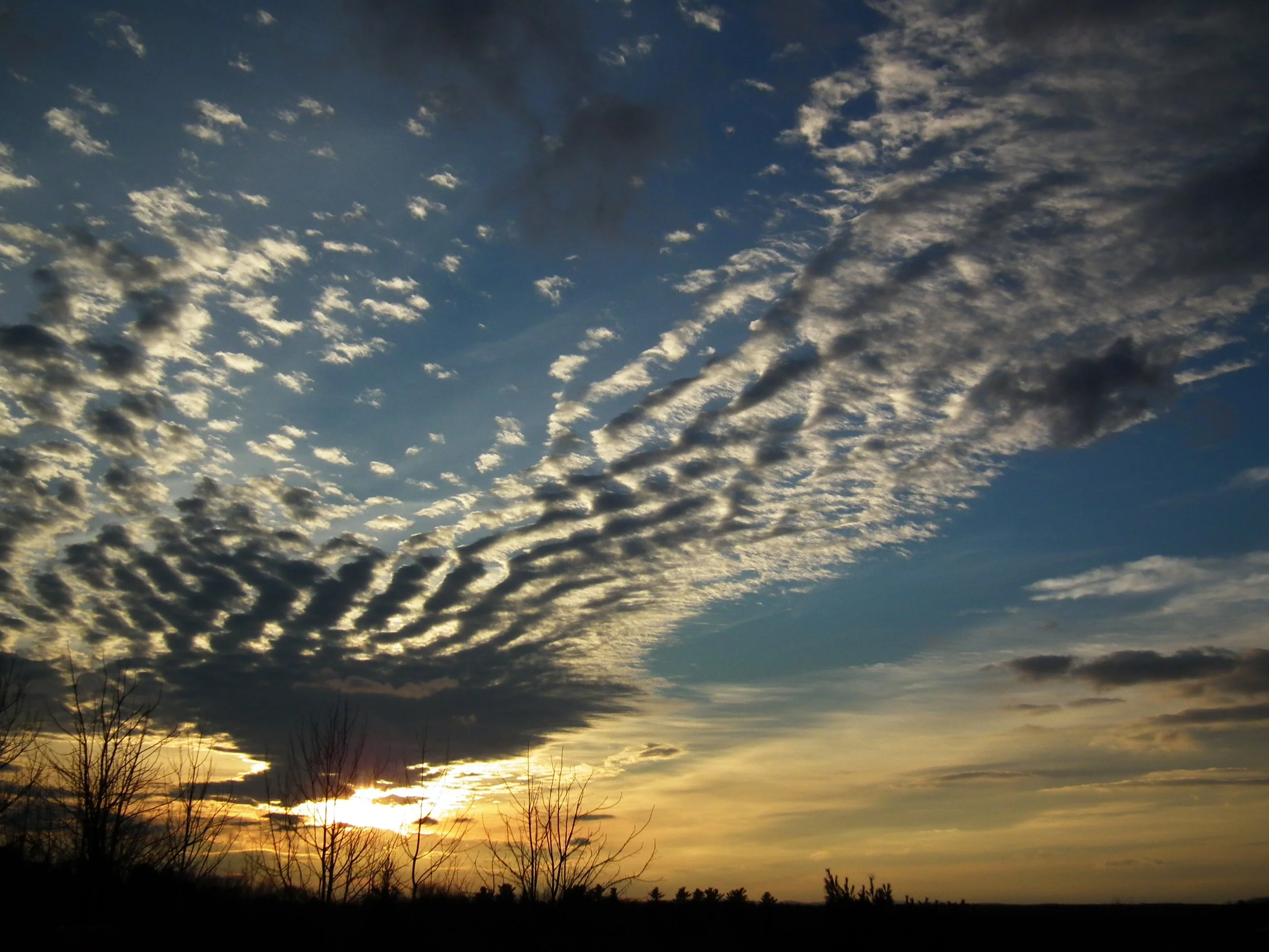 DSCF1408.JPG