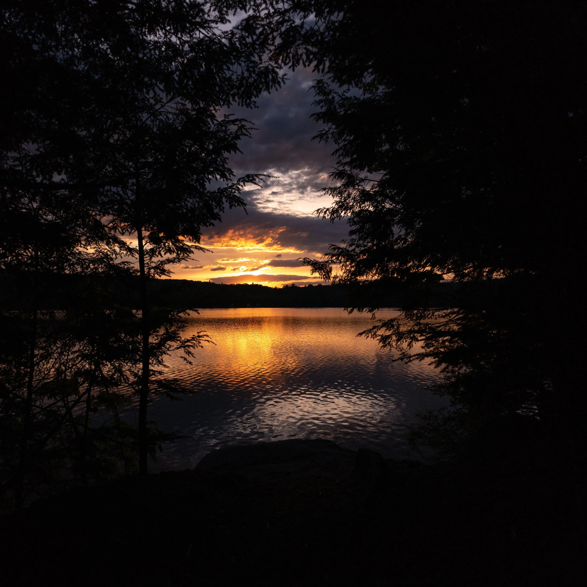 20250530_200355.jpg