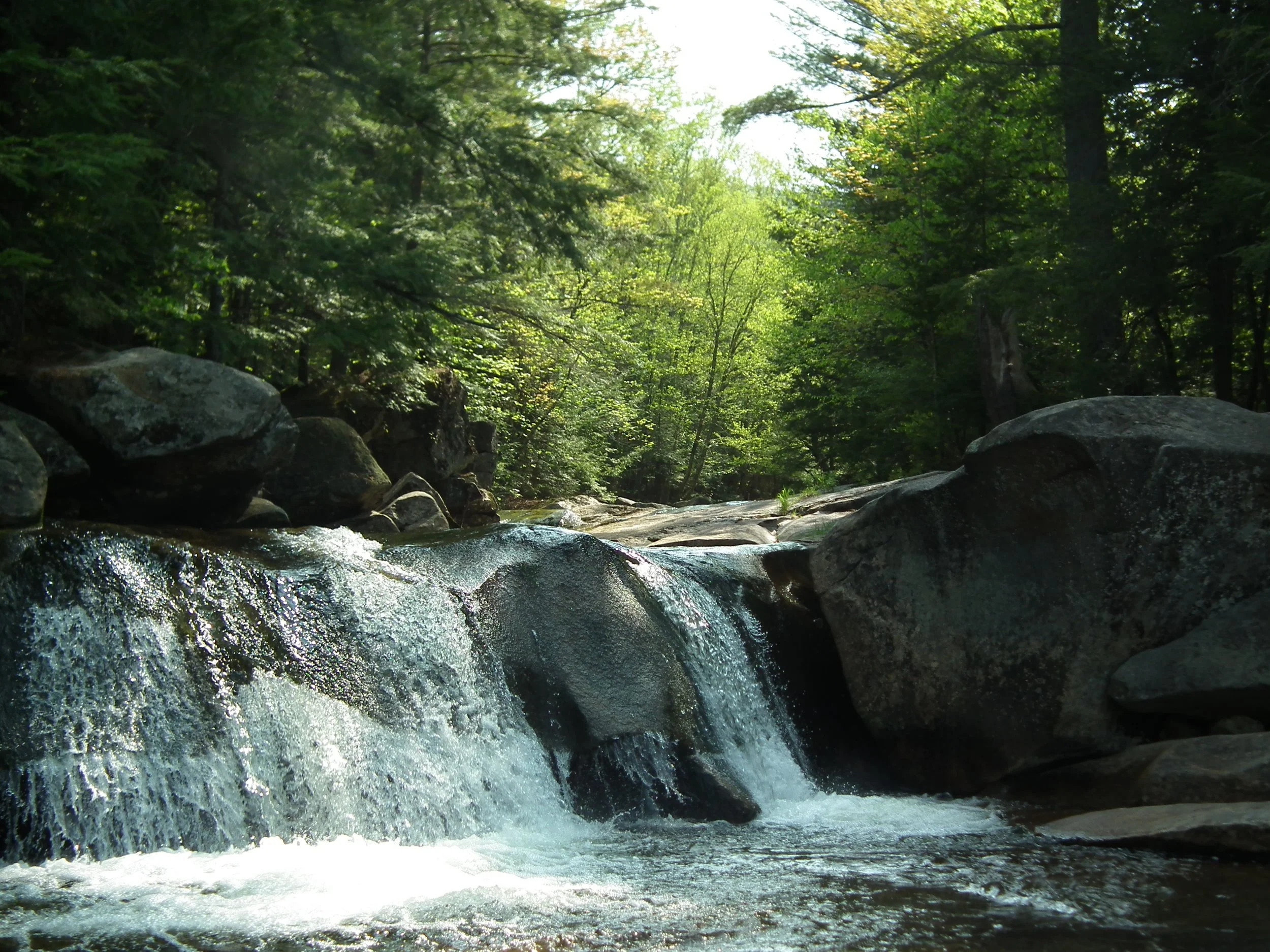 DSCF2993.JPG