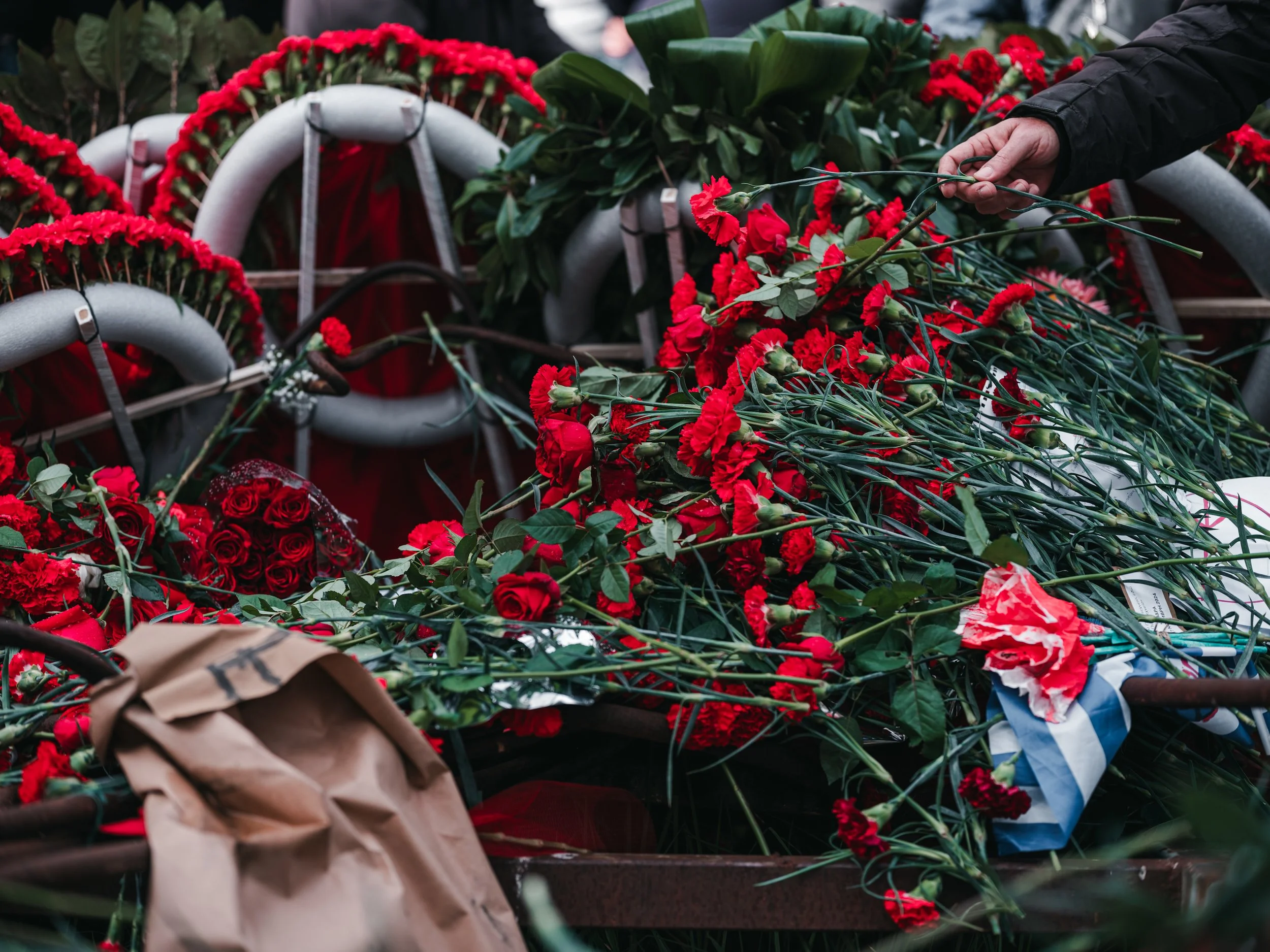 17th of November- Polytechnic