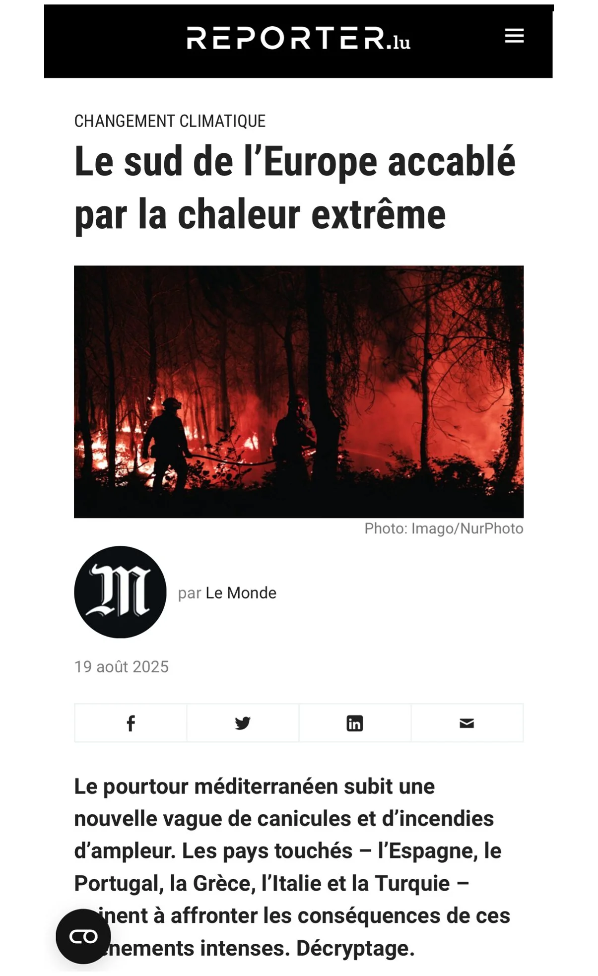 reporterlu.jpg