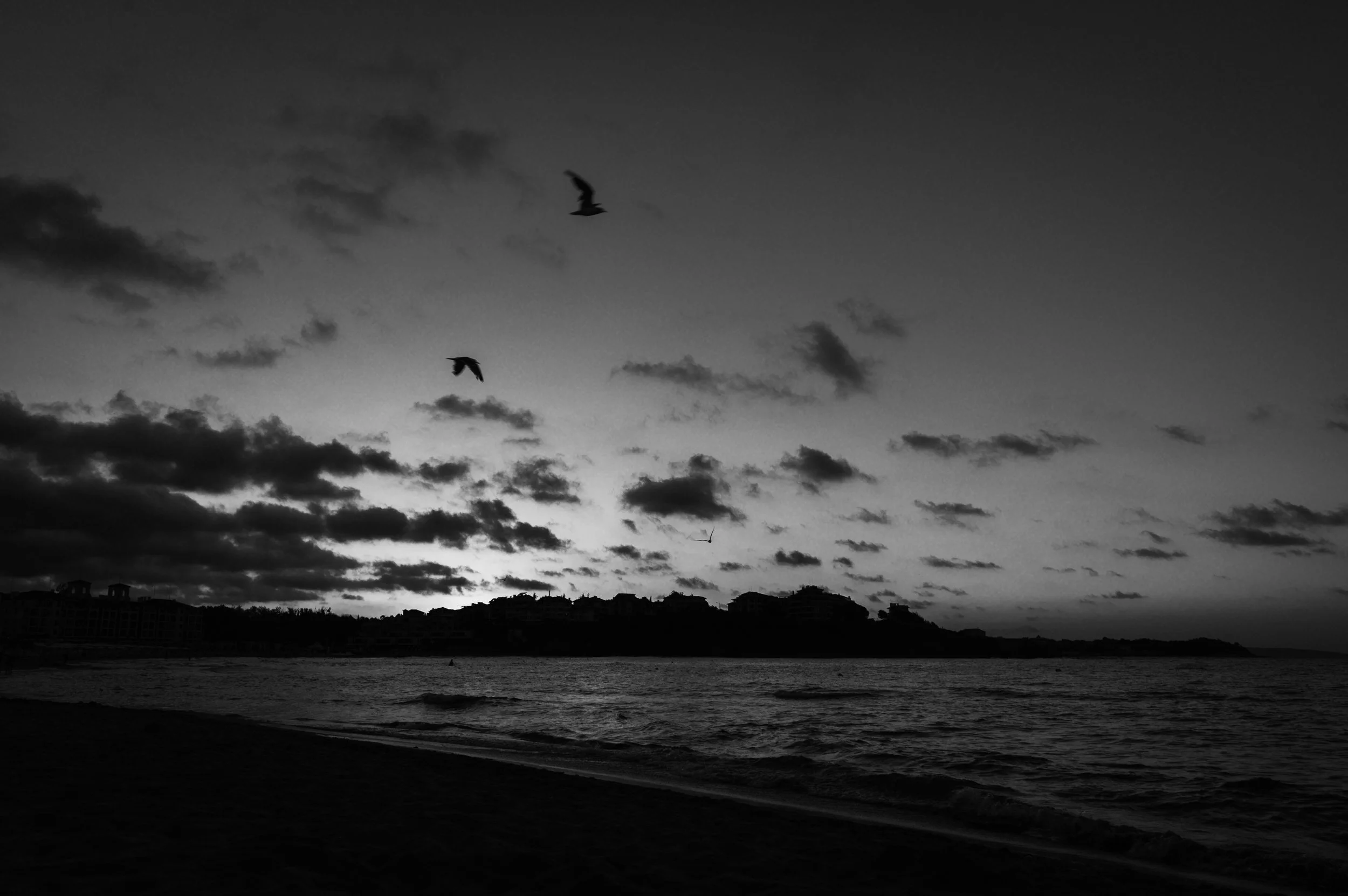 DSC_3078-Edit.jpg