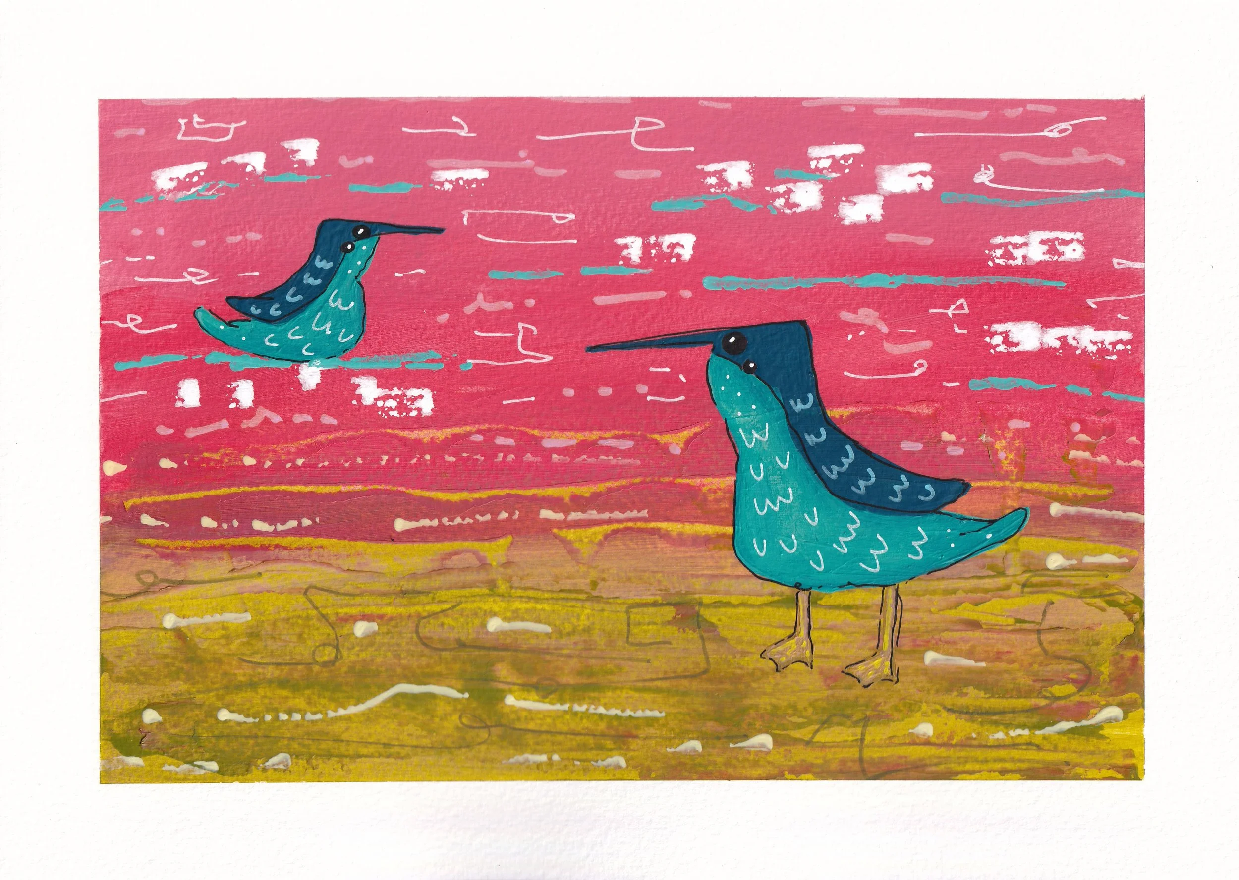 alphabet__xantus_+murrelet+.jpg