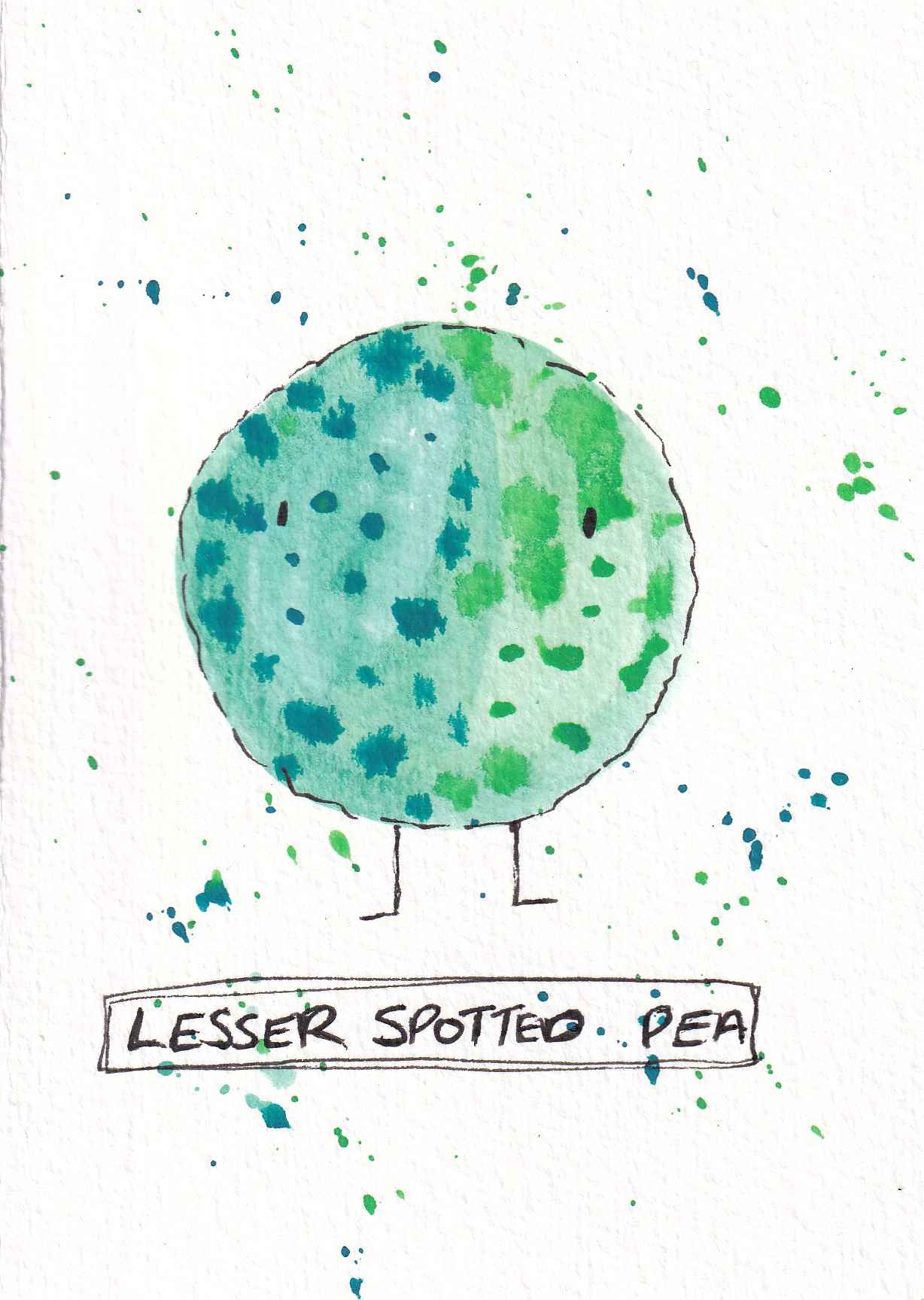 lesserSpottedPea.png